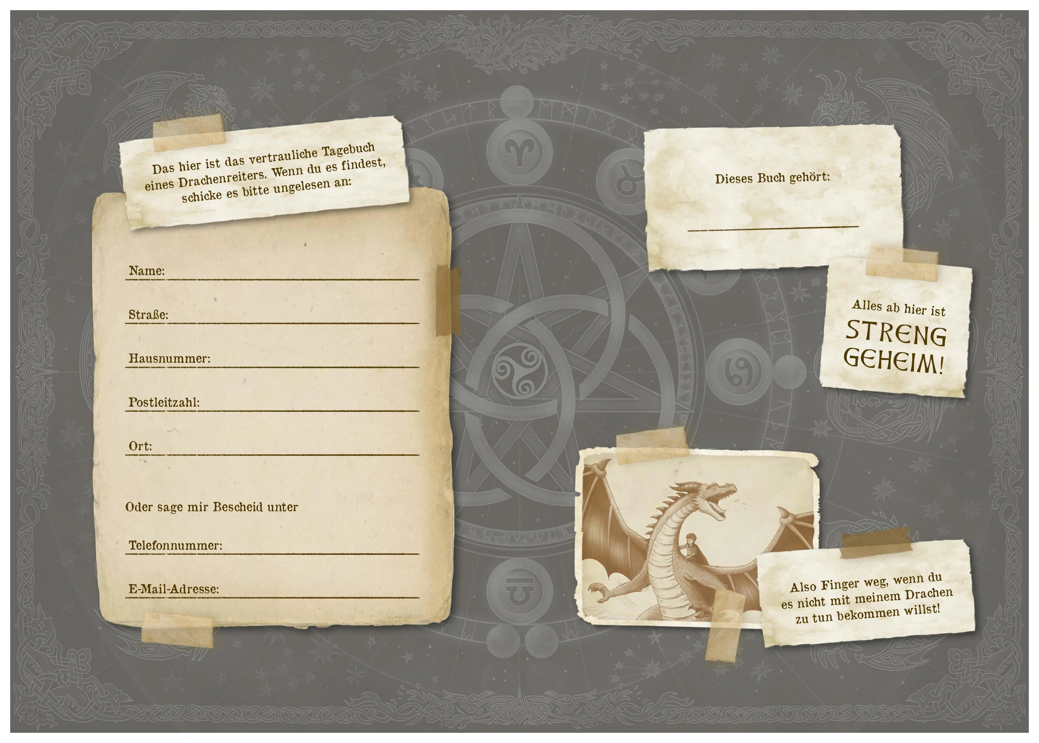 Emily Skye - Die geheime Drachenschule - Mein Tagebuch