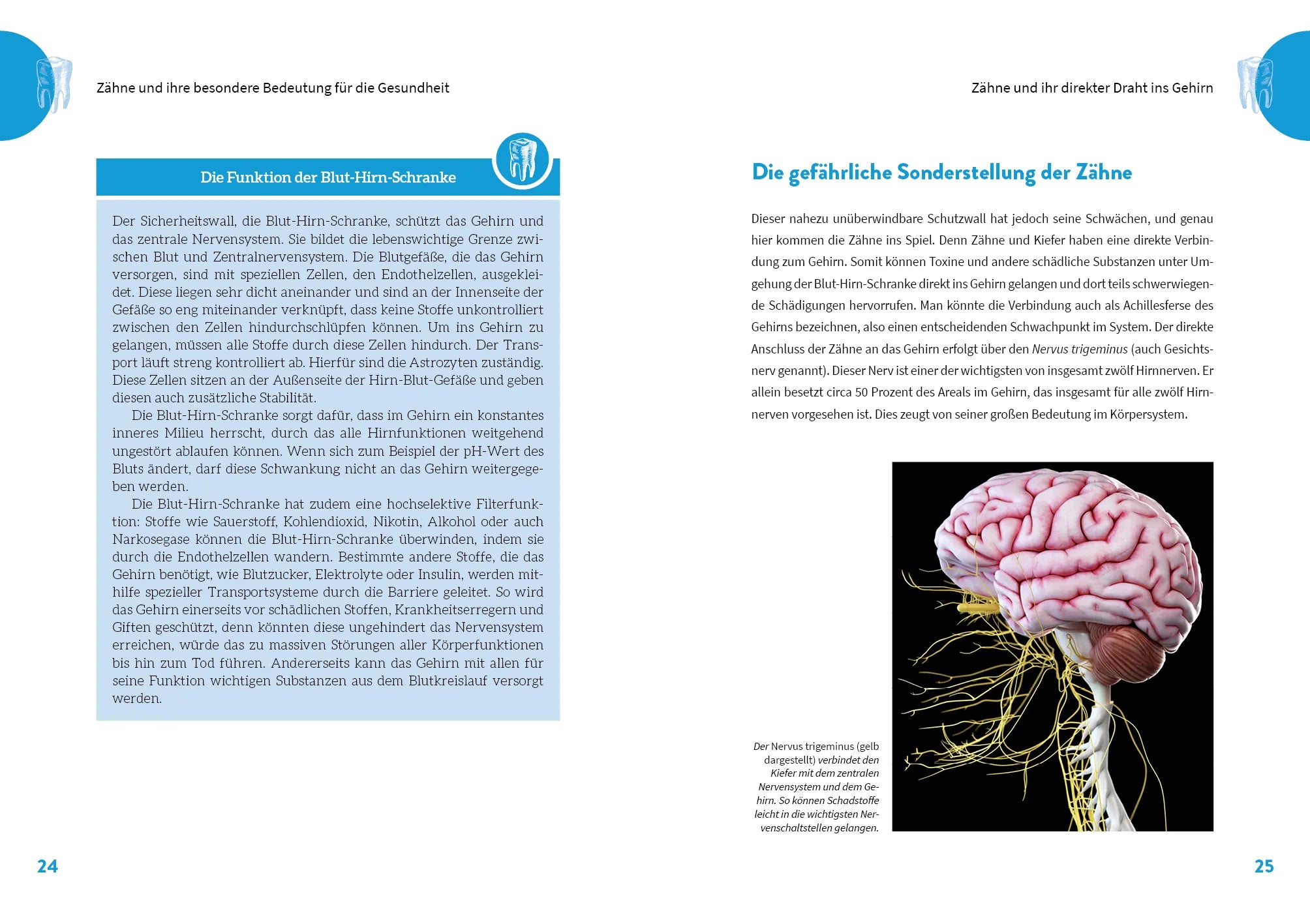 Innenansicht von 'Die geheime Kraft der Zähne' - Taschenbuch