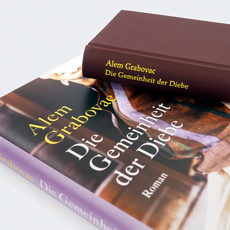 Abbildung von 'Die Gemeinheit der Diebe'