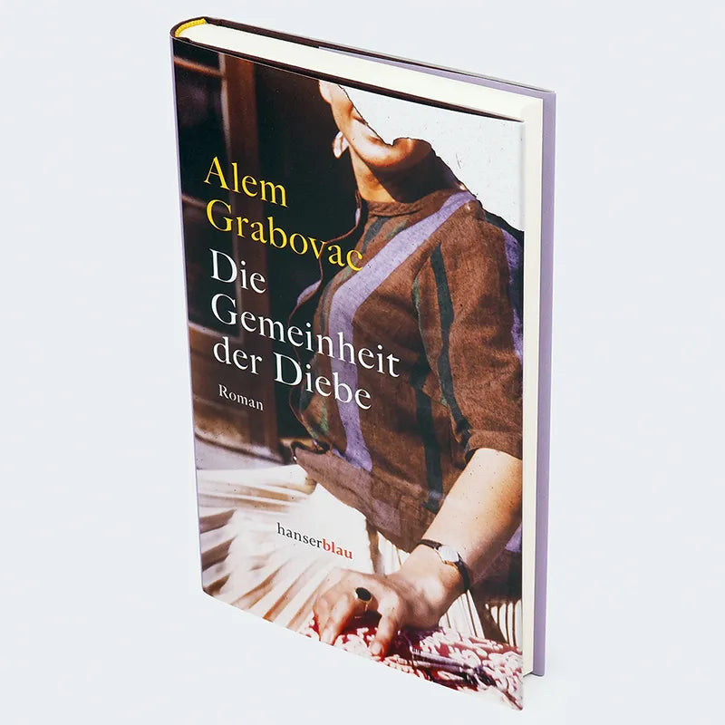Produktansicht: Die Gemeinheit der Diebe (Gebundene Ausgabe)