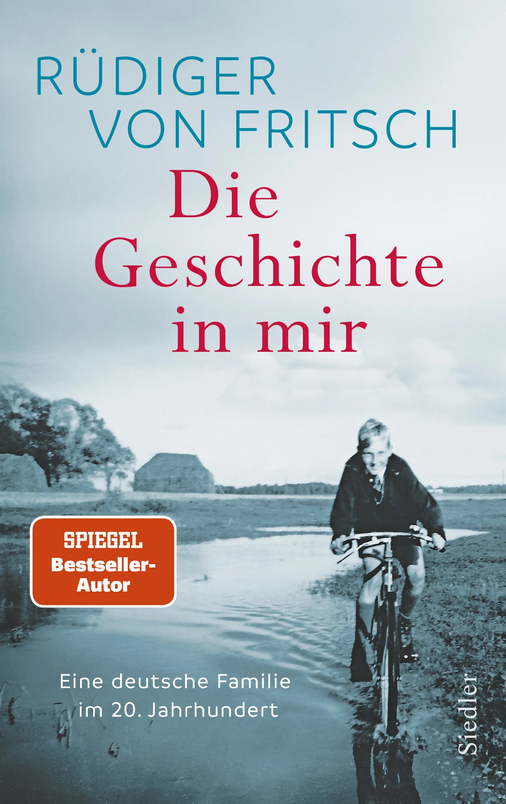 Cover: Die Geschichte in mir (E-Book) von Rüdiger von Fritsch