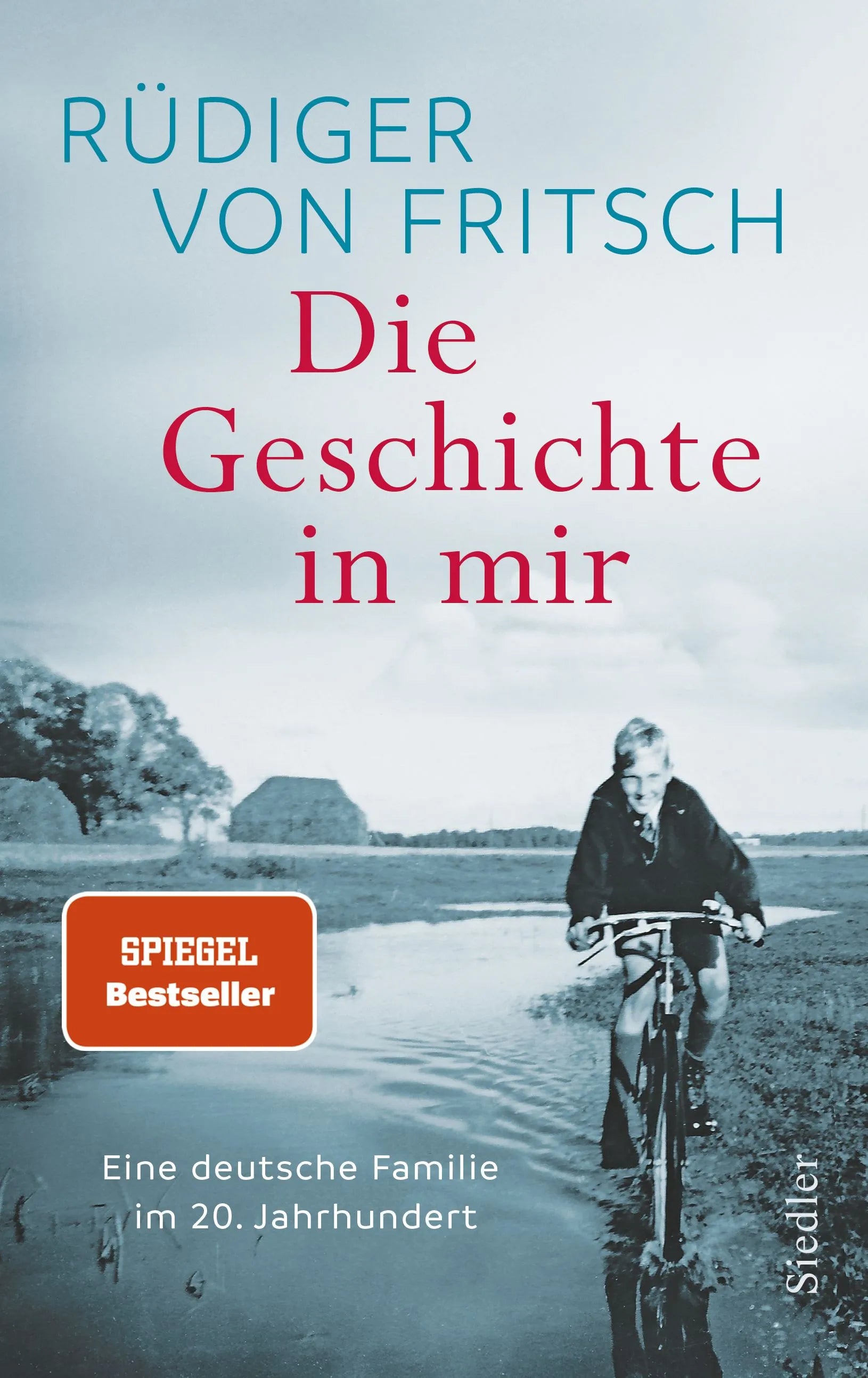 Cover: Die Geschichte in mir (Hardcover) von Rüdiger Fritsch