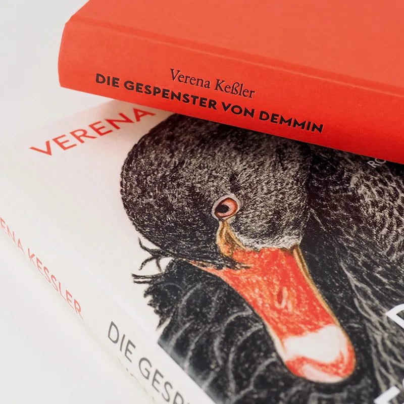 Abbildung von 'Die Gespenster von Demmin'