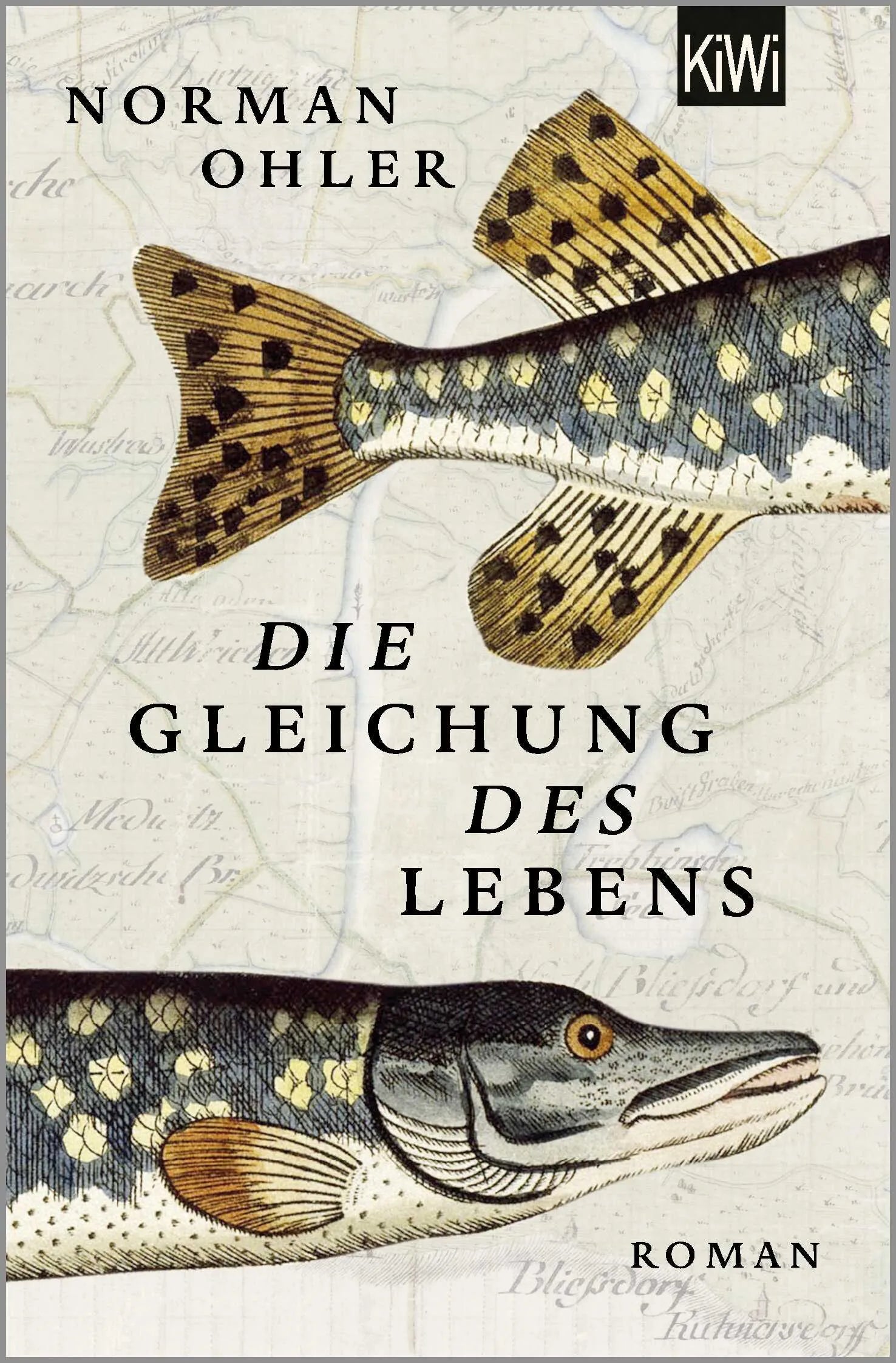 Buchcover von 'Die Gleichung des Lebens' - Taschenbuch von Norman Ohler