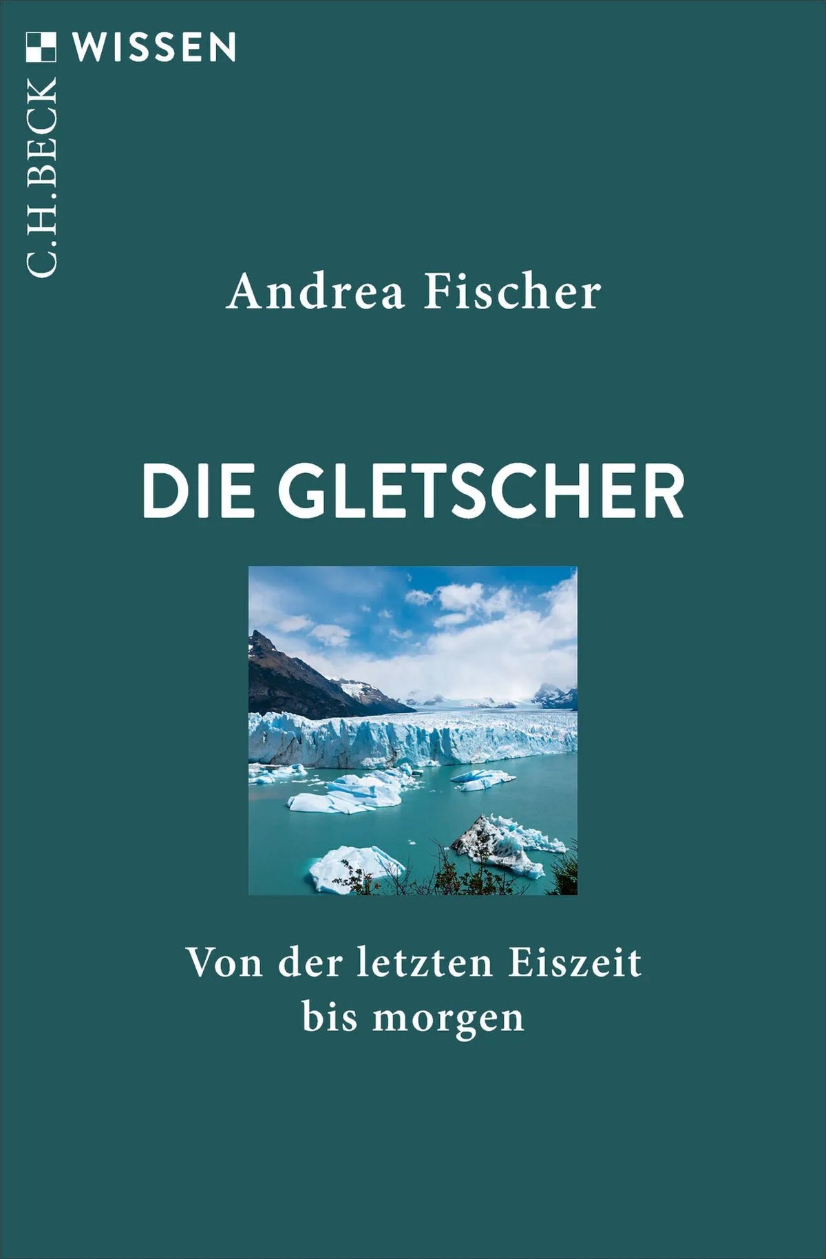 Cover: Die Gletscher (Taschenbuch) von Andrea Fischer