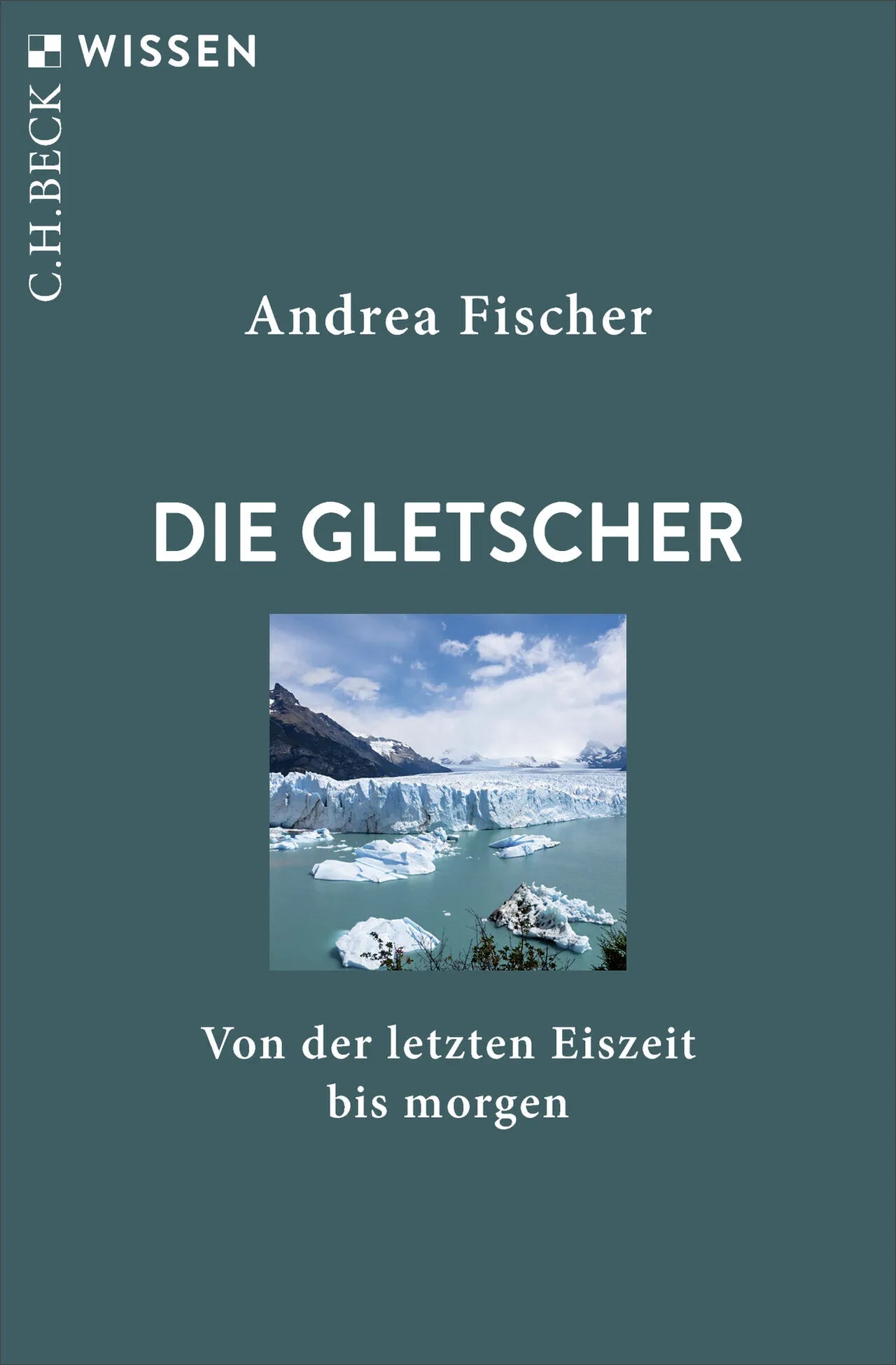 Buchcover von 'Die Gletscher' - Taschenbuch von Andrea Fischer