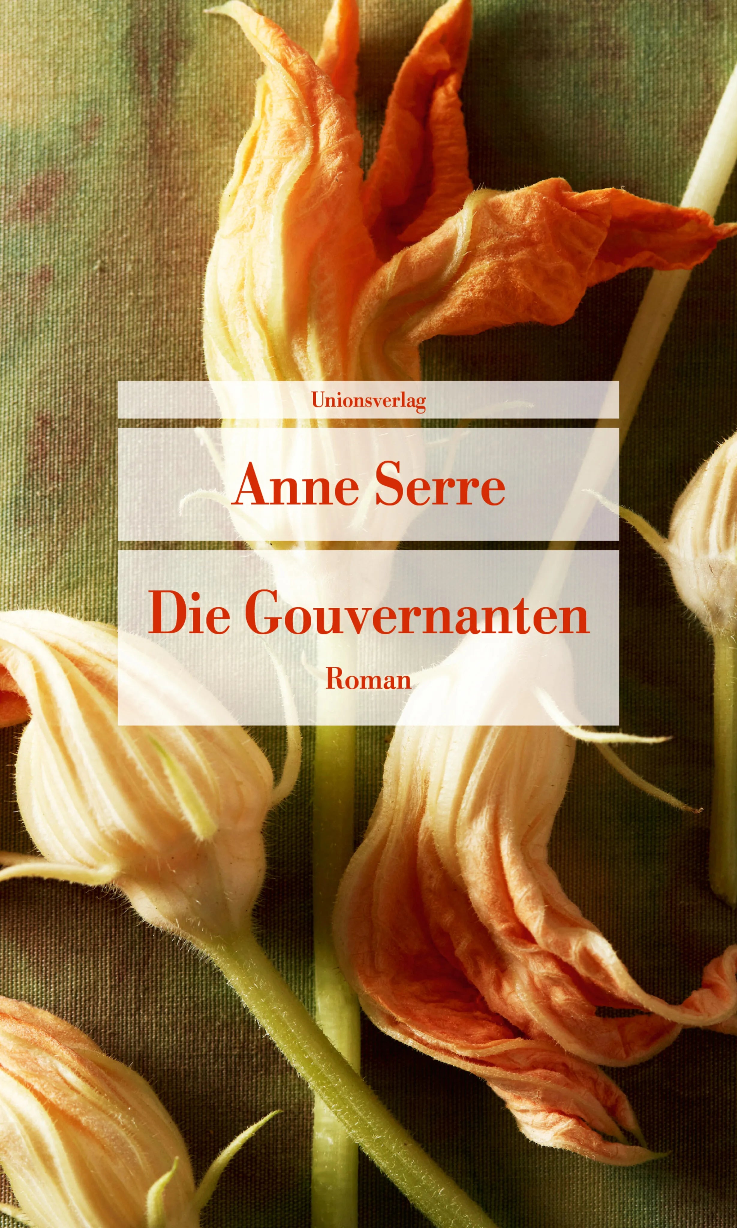 Buchcover von 'Die Gouvernanten' - Taschenbuch von Anne Serre