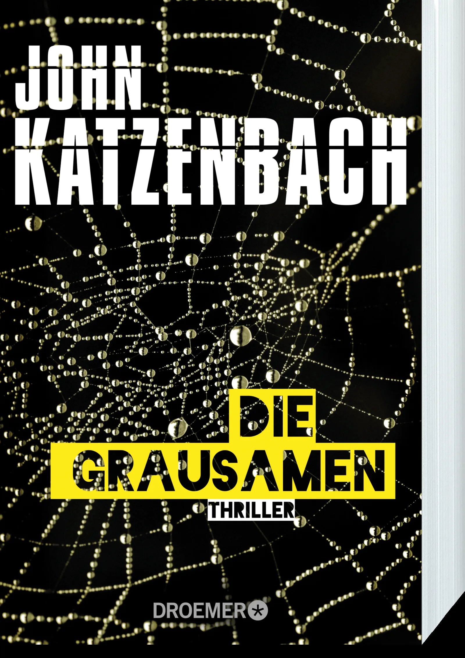 John Katzenbach - Die Grausamen