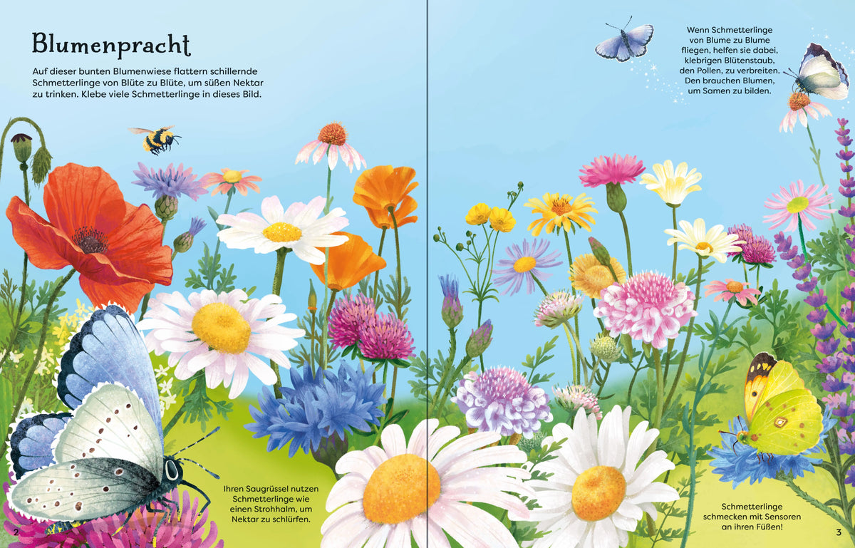 Detailansicht: Die große Sticker-Tierwelt: Schmetterlinge (Taschenbuch)