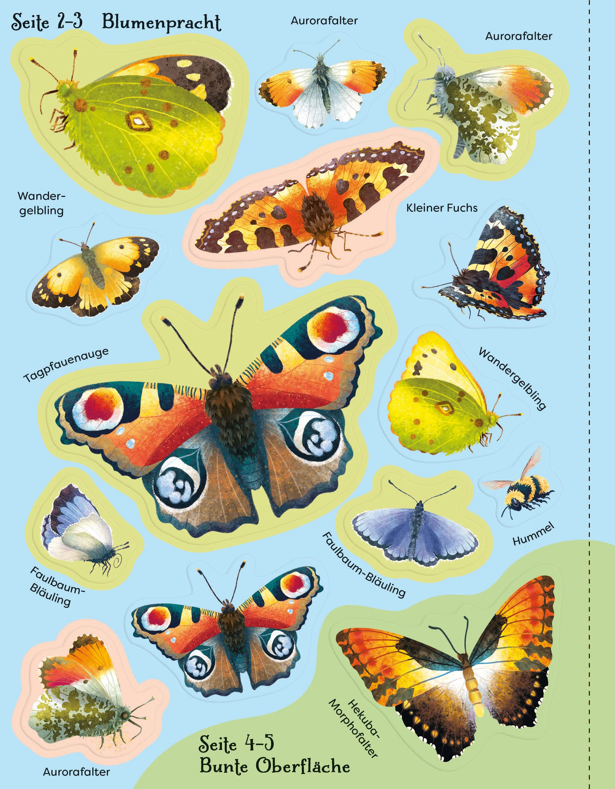 Detailansicht: Die große Sticker-Tierwelt: Schmetterlinge (Taschenbuch)