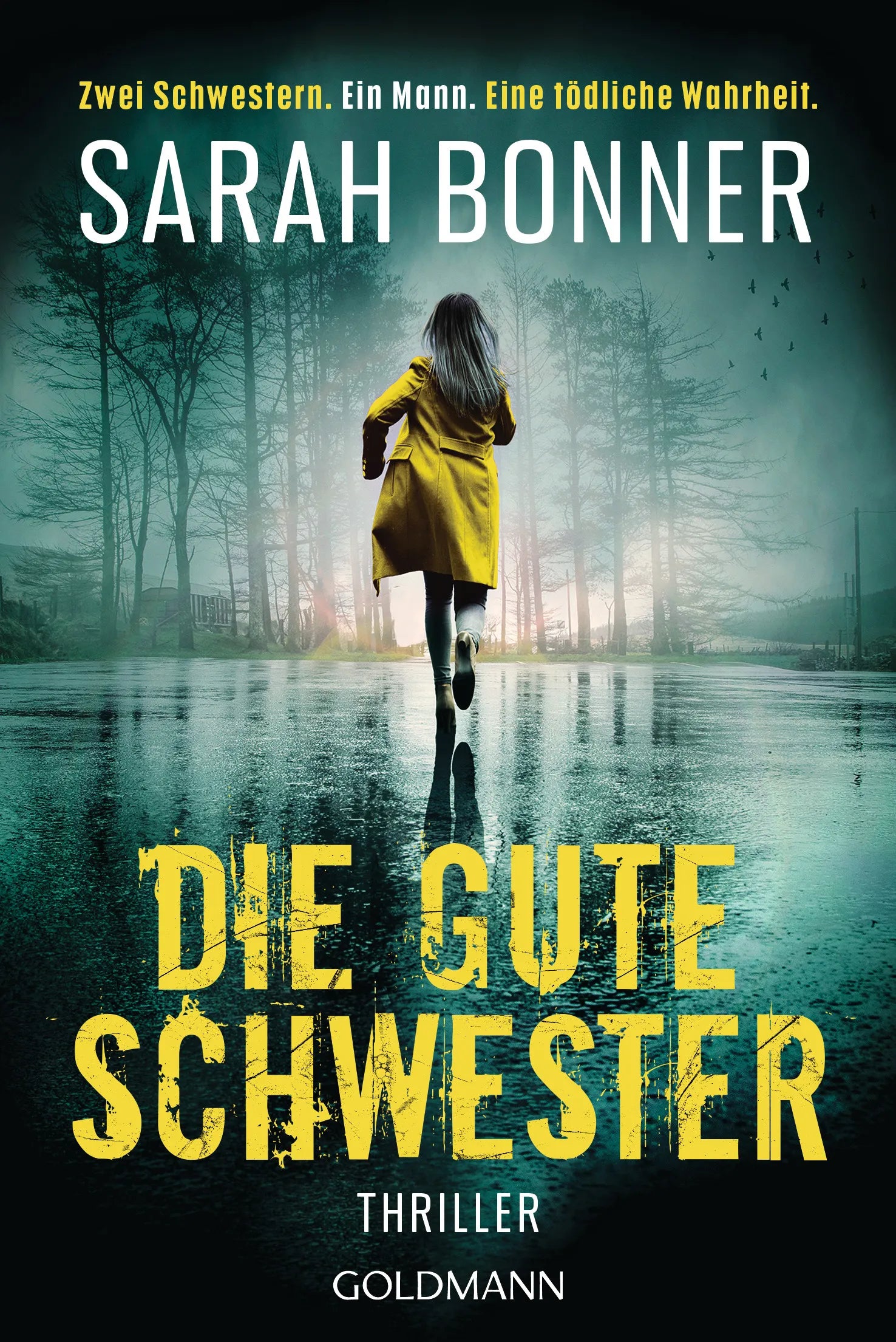 Cover: Die gute Schwester (E-Book) von Sarah Bonner