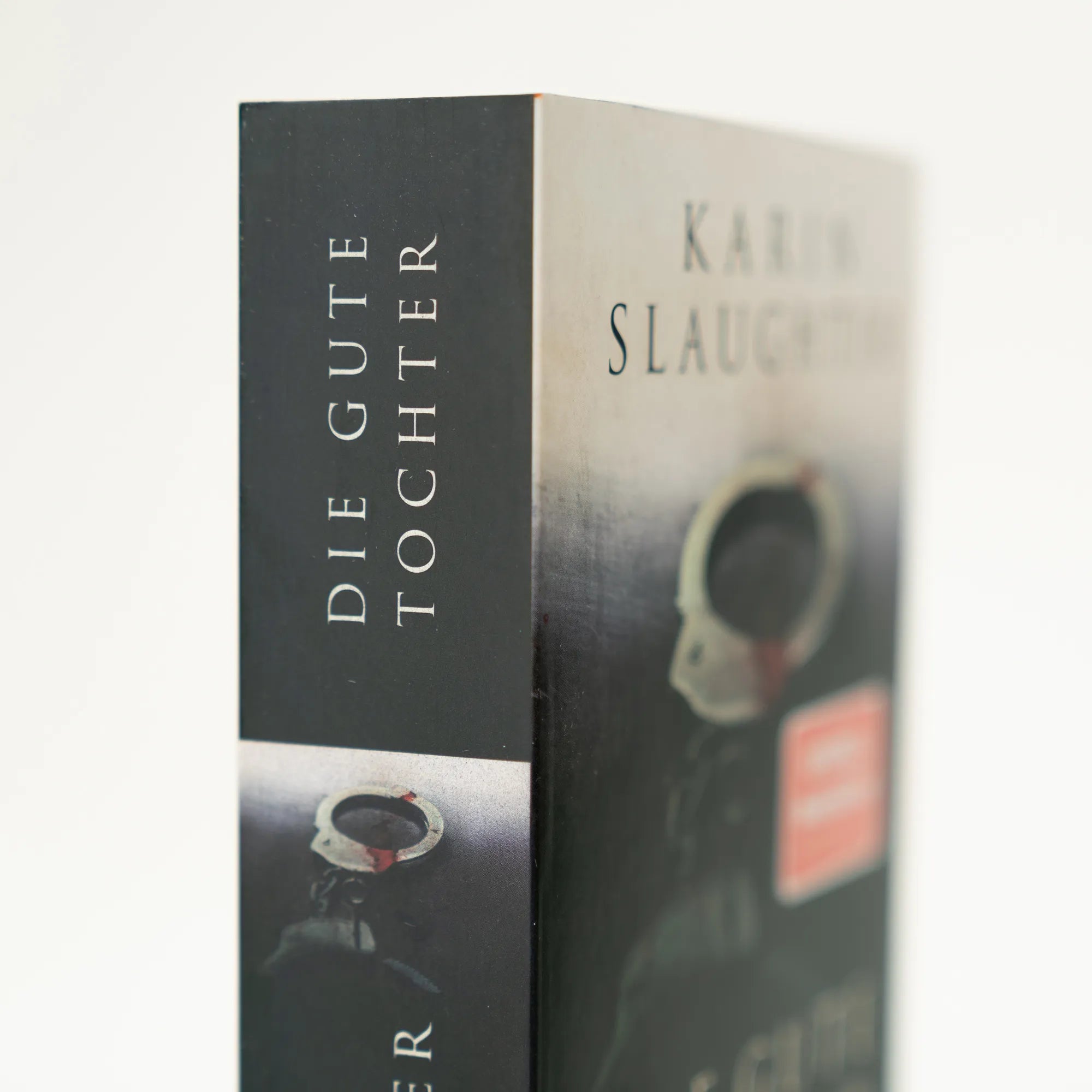 Detailansicht: Die gute Tochter (Taschenbuch)