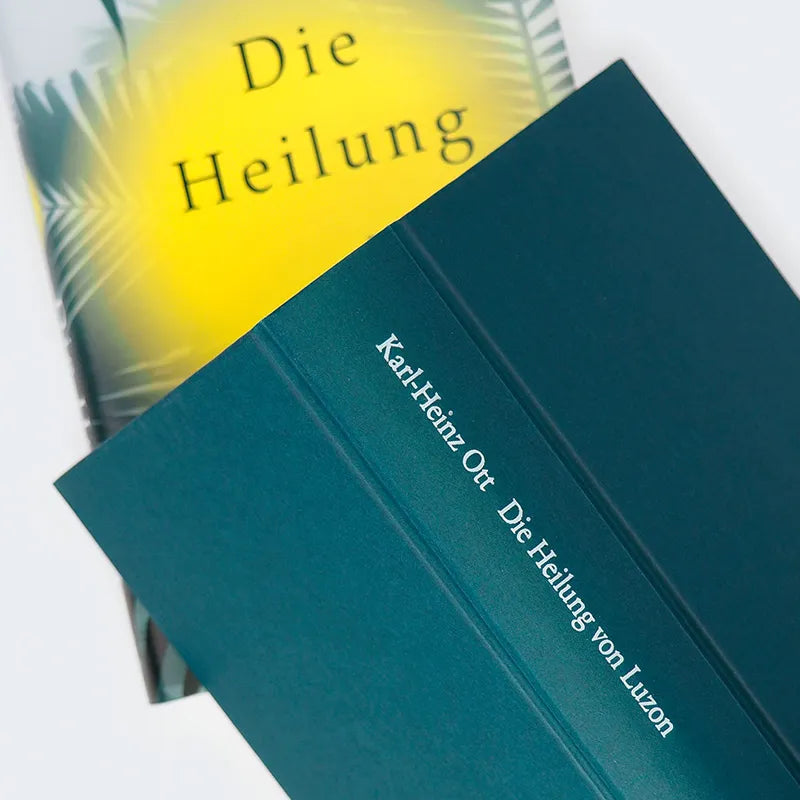 Abbildung von 'Die Heilung von Luzon'