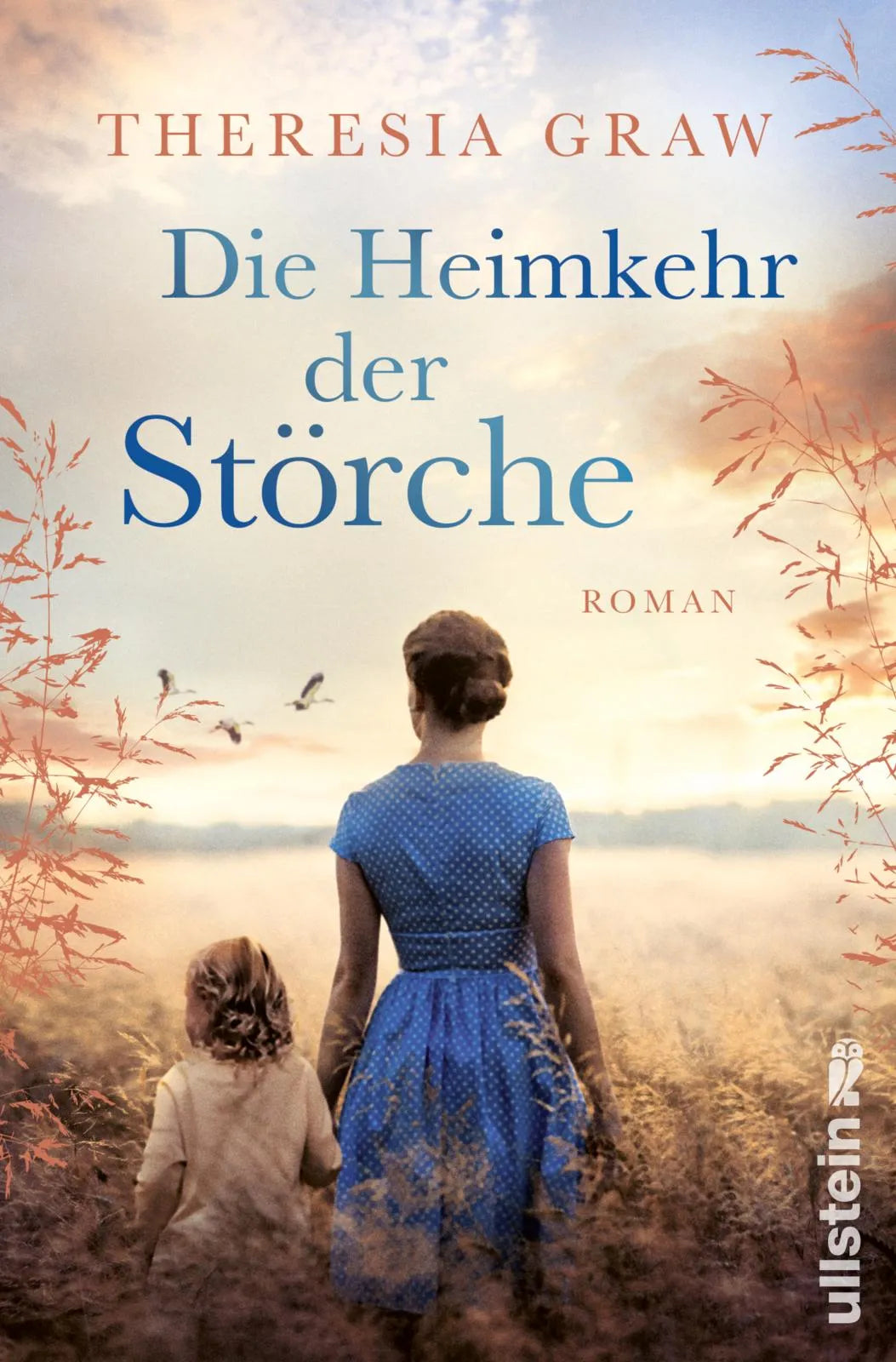 Cover: Die Heimkehr der Störche (Paperback) von Theresia Graw