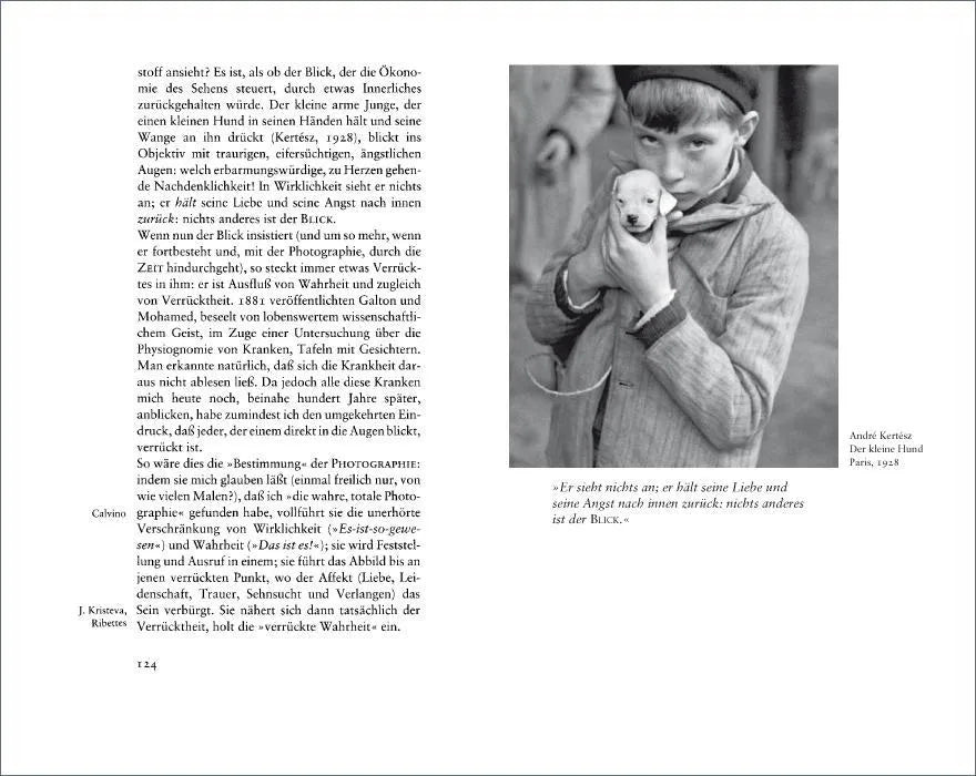 Roland Barthes - Die helle Kammer