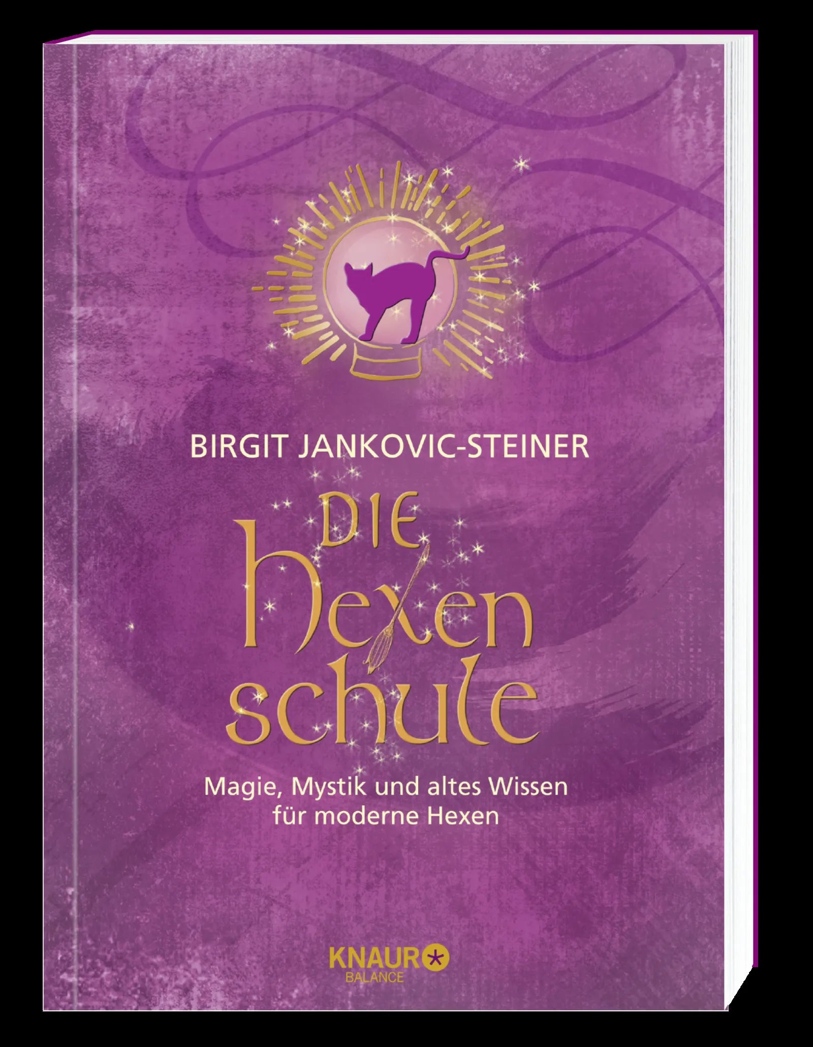 Birgit Jankovic-Steiner - Die Hexenschule