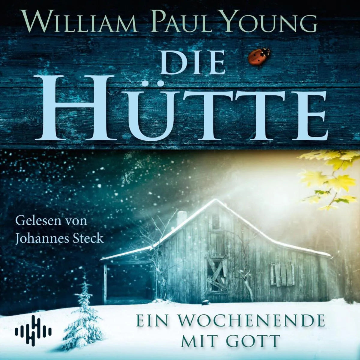 Cover: Die Hütte (Hörbuch Download) von William Paul Young