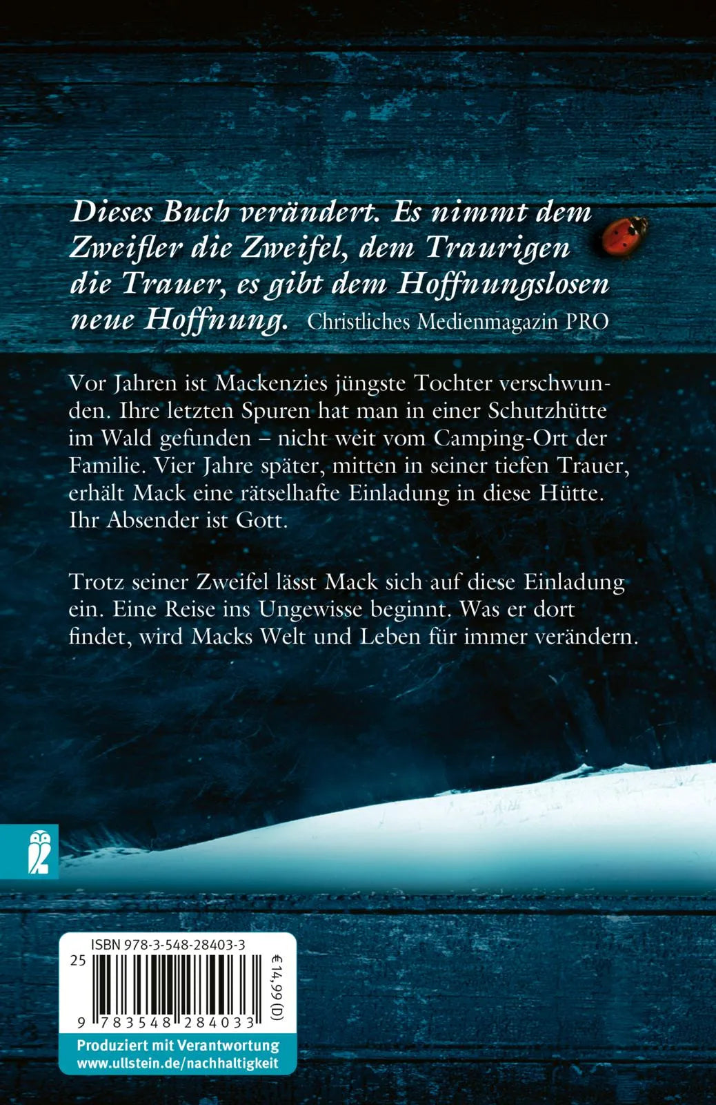 Buchrückseite von 'Die Hütte' mit Klappentext - Taschenbuch