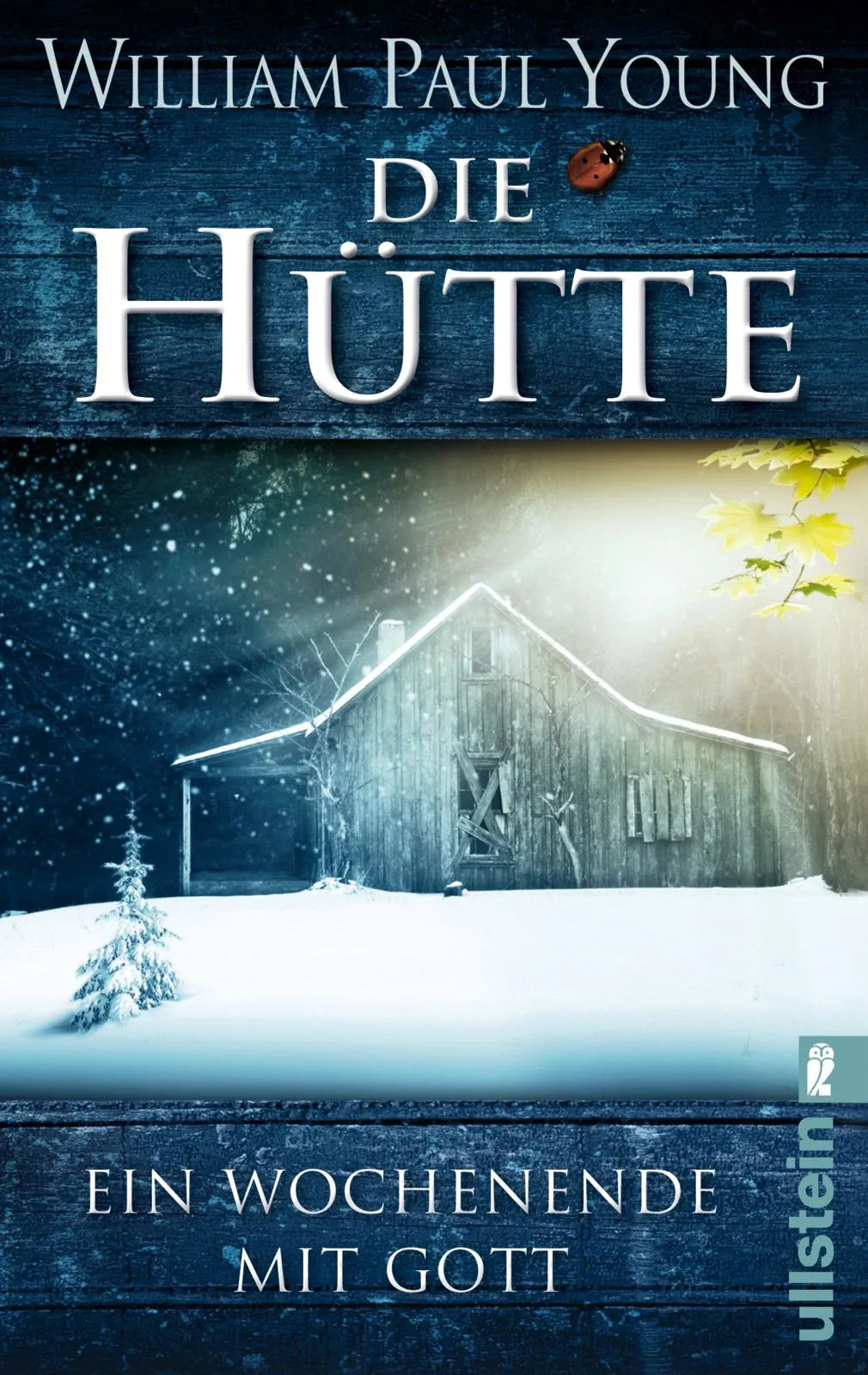 Buchcover von 'Die Hütte' - Taschenbuch von William Paul Young