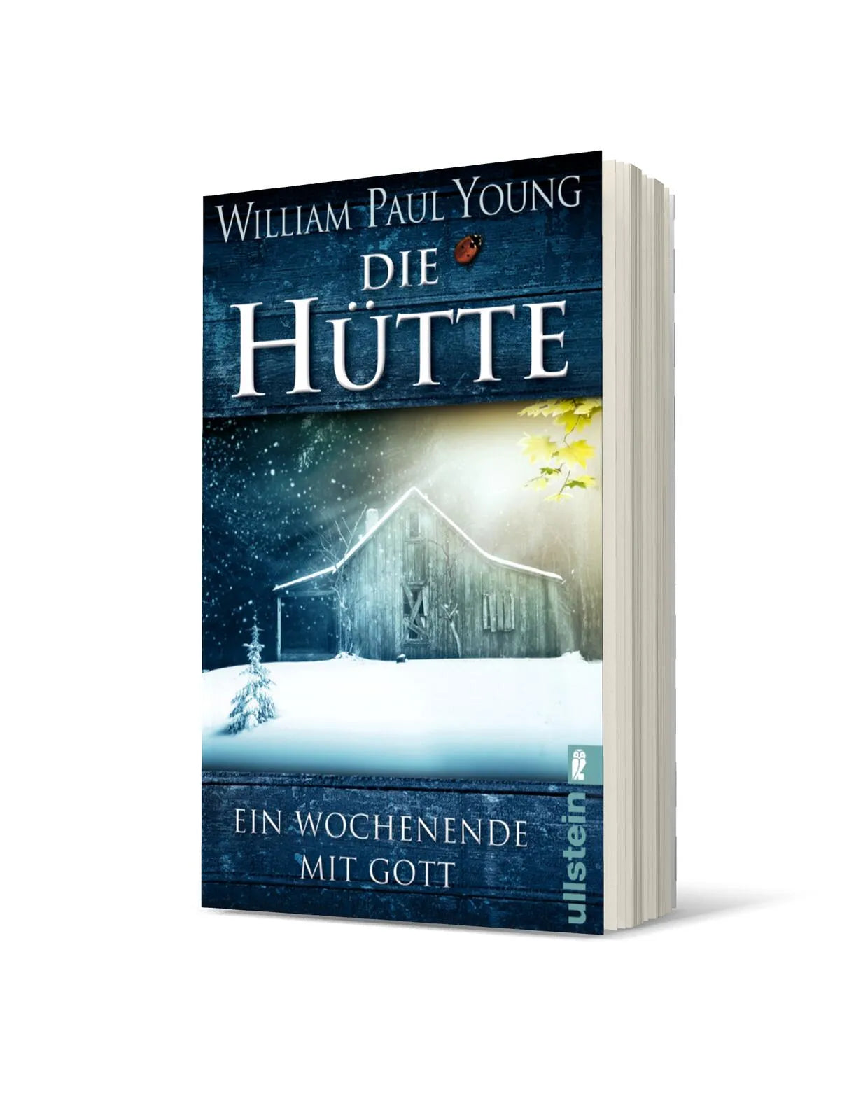 Produktansicht: Die Hütte (Taschenbuch)