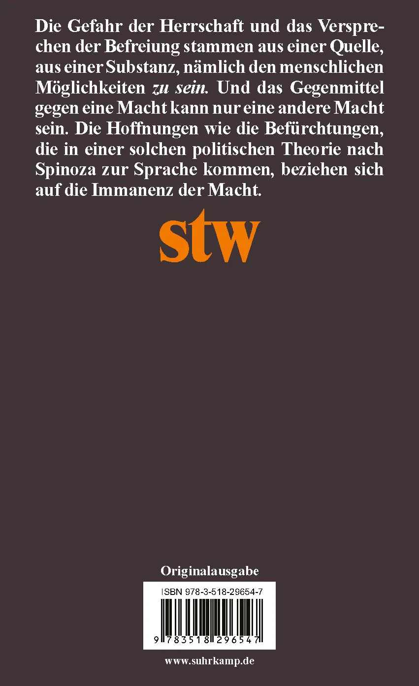 Buchrückseite von 'Die Immanenz der Macht' mit Klappentext - Taschenbuch