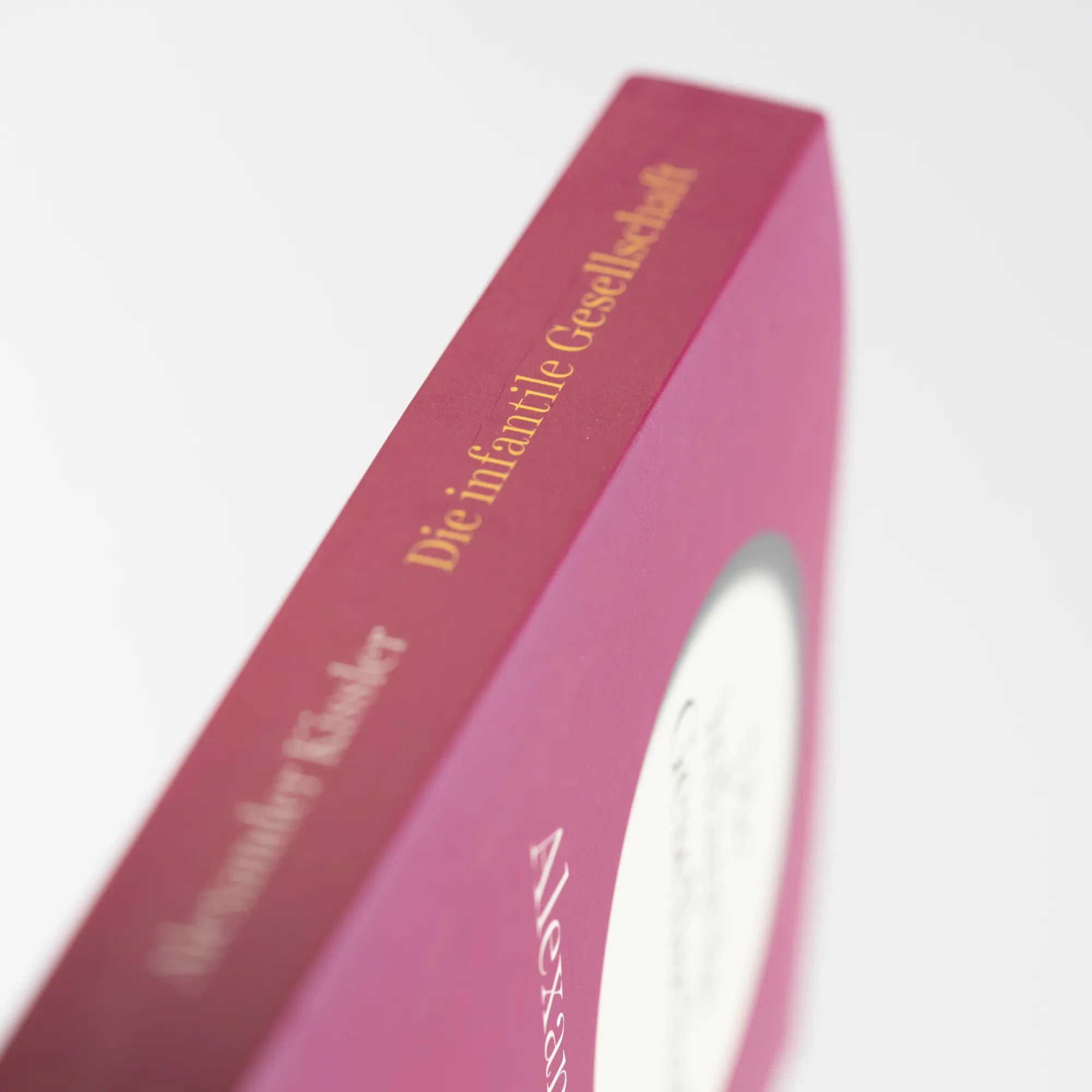 Produktansicht: Die infantile Gesellschaft. Wege aus der selbstverschuldeten Unreife | AKTUALISIERTE AUSGABE (Taschenbuch)