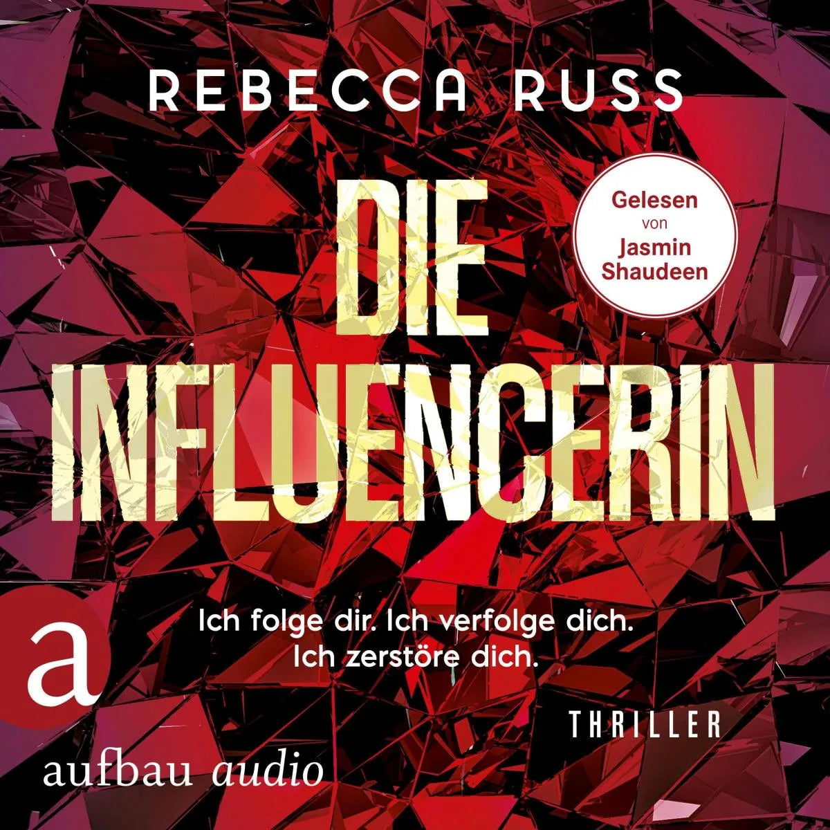 Cover: Die Influencerin (Hörbuch Download) von Rebecca Russ