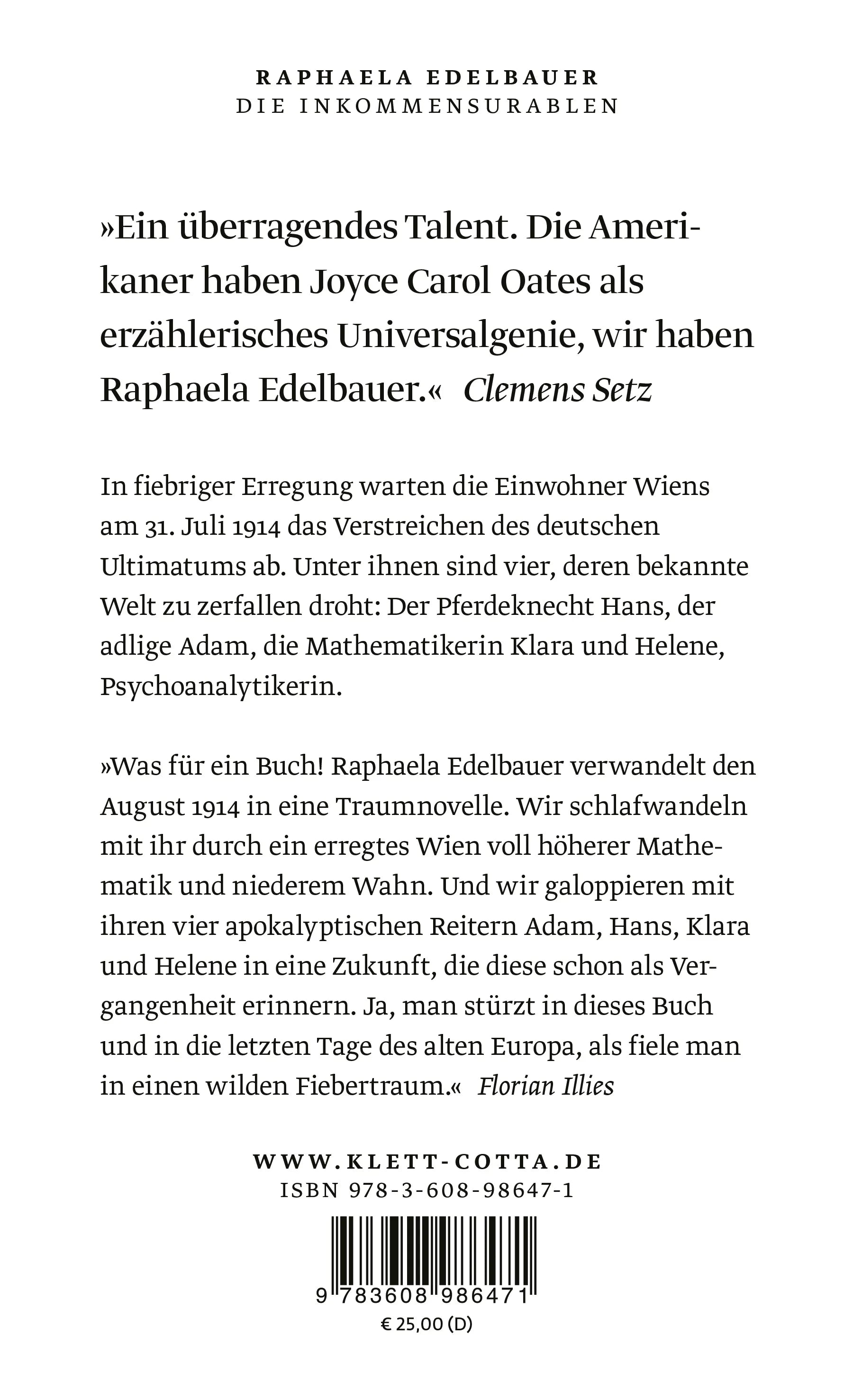 Buchrückseite von 'Die Inkommensurablen' mit Klappentext - Gebundene Ausgabe
