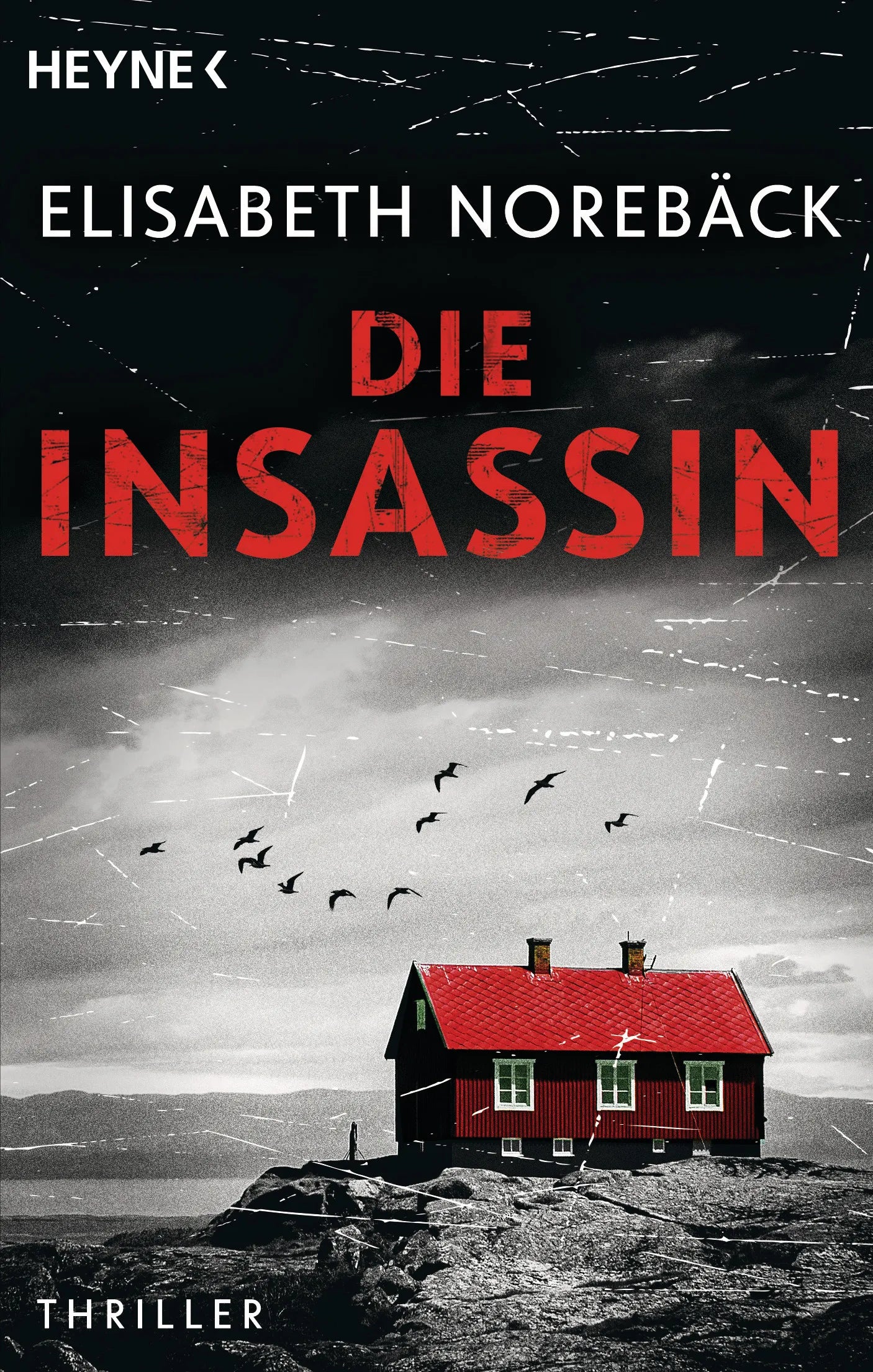 Cover: Die Insassin (E-Book) von Elisabeth Norebäck