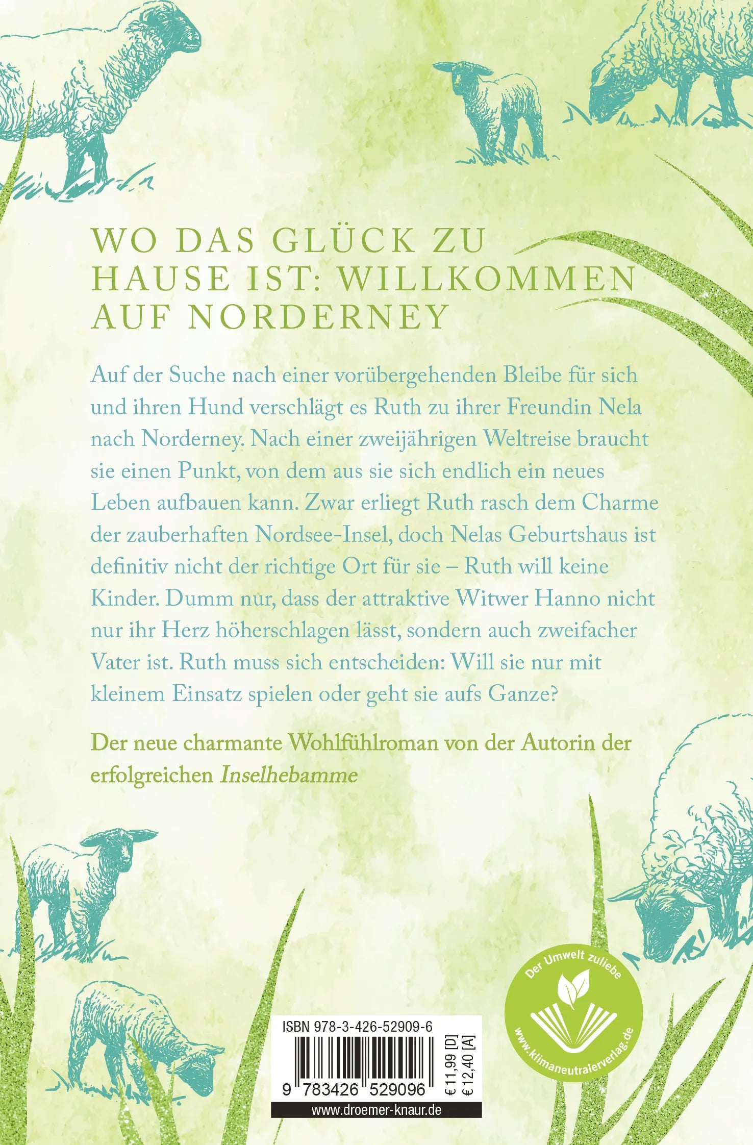 Buchrückseite von 'Die Inselschäferin' mit Klappentext - Taschenbuch