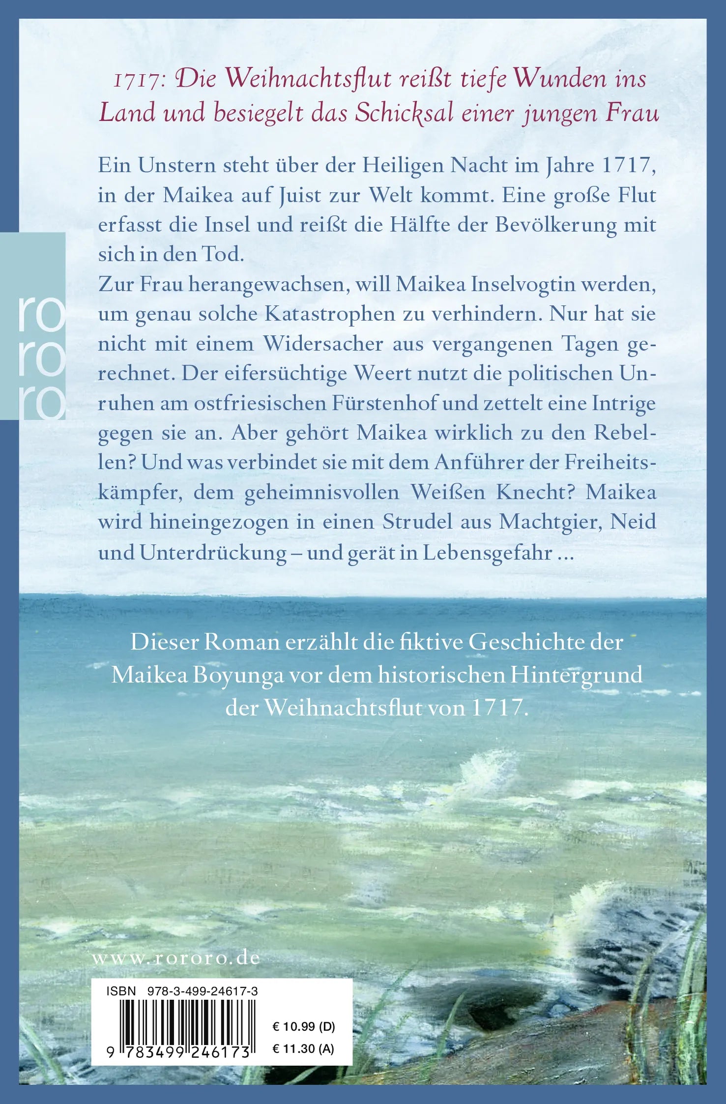 Buchrückseite von 'Die Inselvogtin' mit Klappentext - Taschenbuch