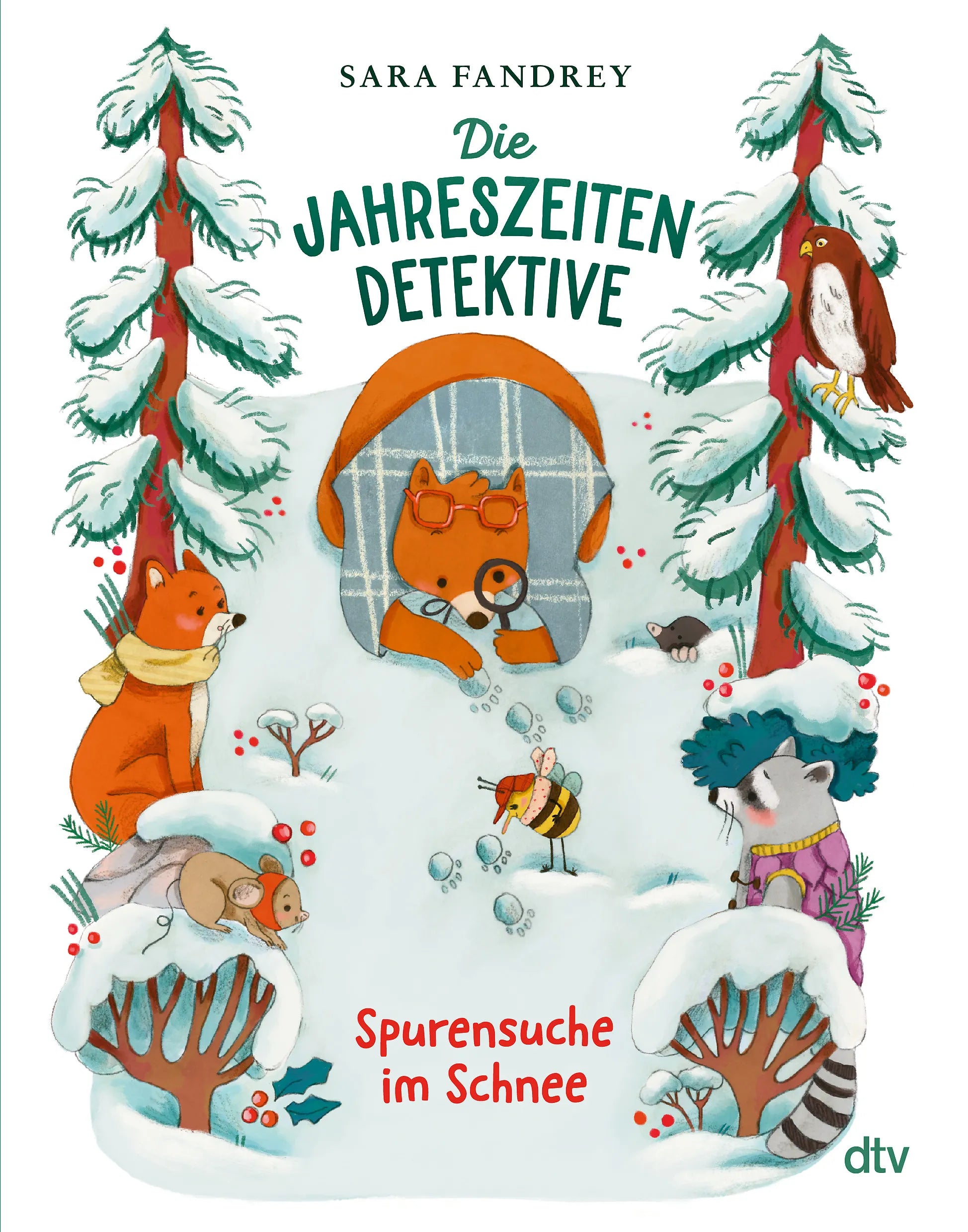 Cover: Die Jahreszeiten-Detektive – Spurensuche im Schnee (Hardcover) von Sara Fandrey