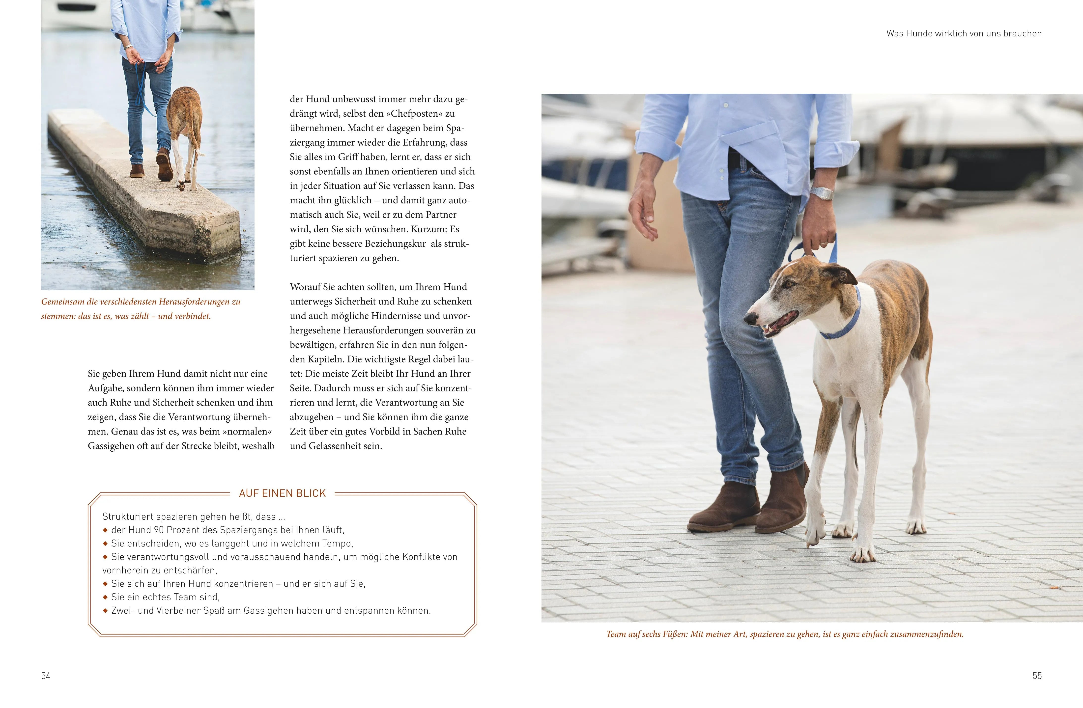 Abbildung von 'Die José-Arce-Methode: Liebe Deinen Hund. Wie Sie beim Gassigehen die Beziehung stärken'
