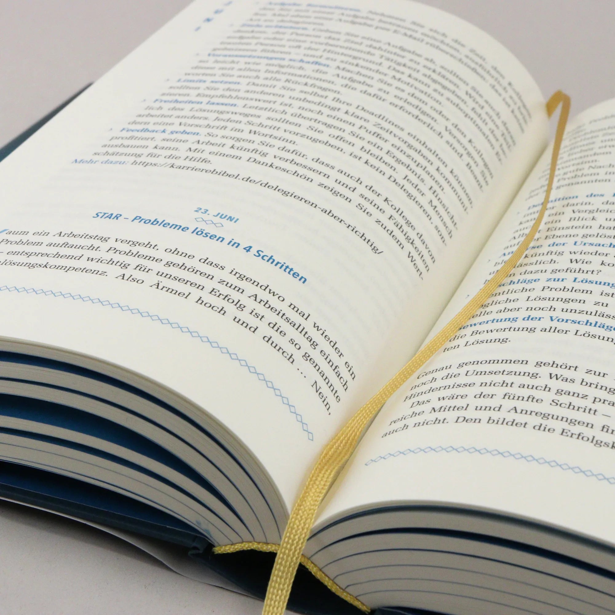 Produktansicht: Die Karriere-Bibel (Gebundene Ausgabe)