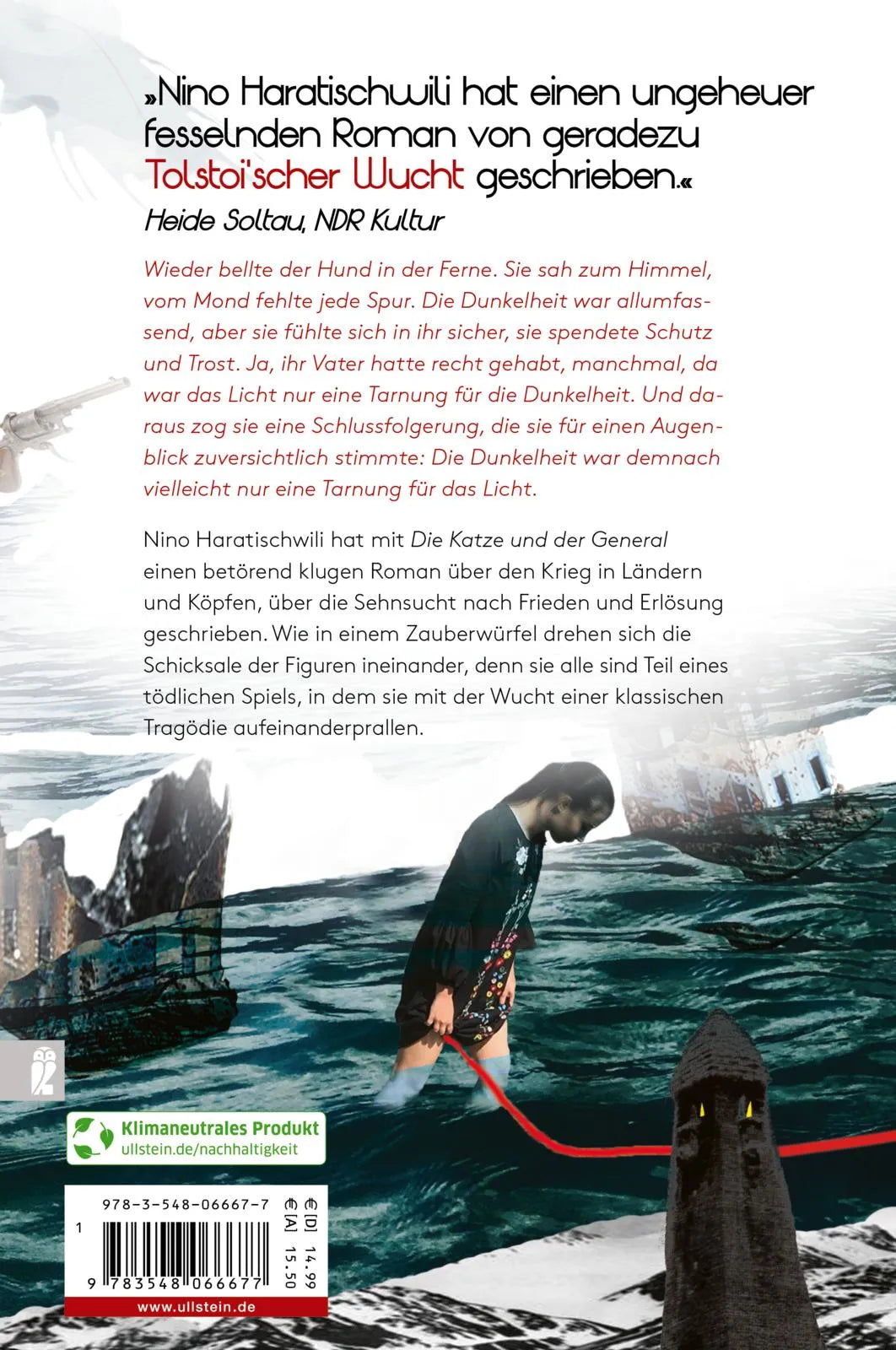 Buchrückseite von 'Die Katze und der General' mit Klappentext - Taschenbuch