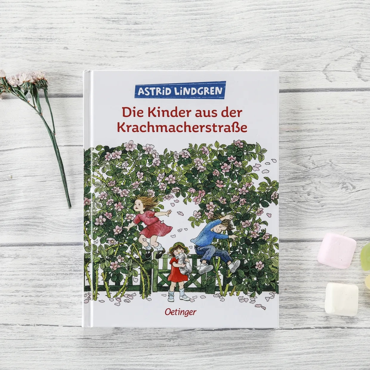 Abbildung von 'Die Kinder aus der Krachmacherstraße'