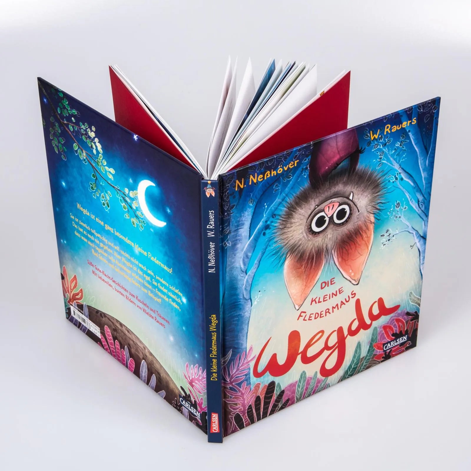 Produktansicht: Die kleine Fledermaus Wegda: Die kleine Fledermaus Wegda (Gebundene Ausgabe)