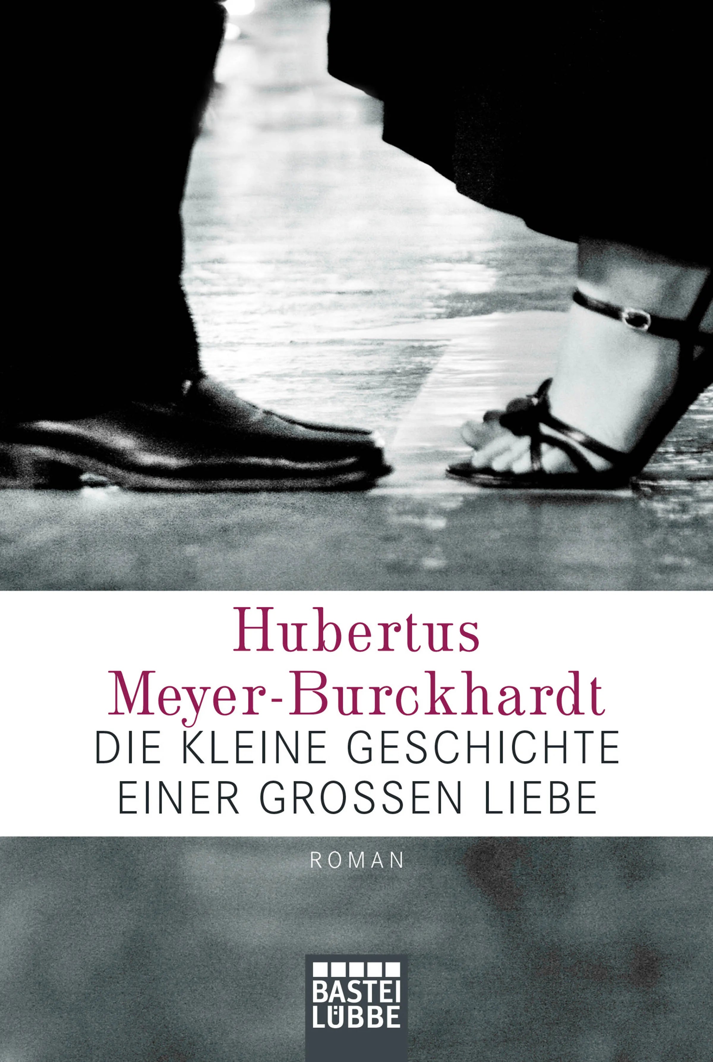 Buchcover von 'Die kleine Geschichte einer großen Liebe' - Taschenbuch von Hubertus Meyer-Burckhardt