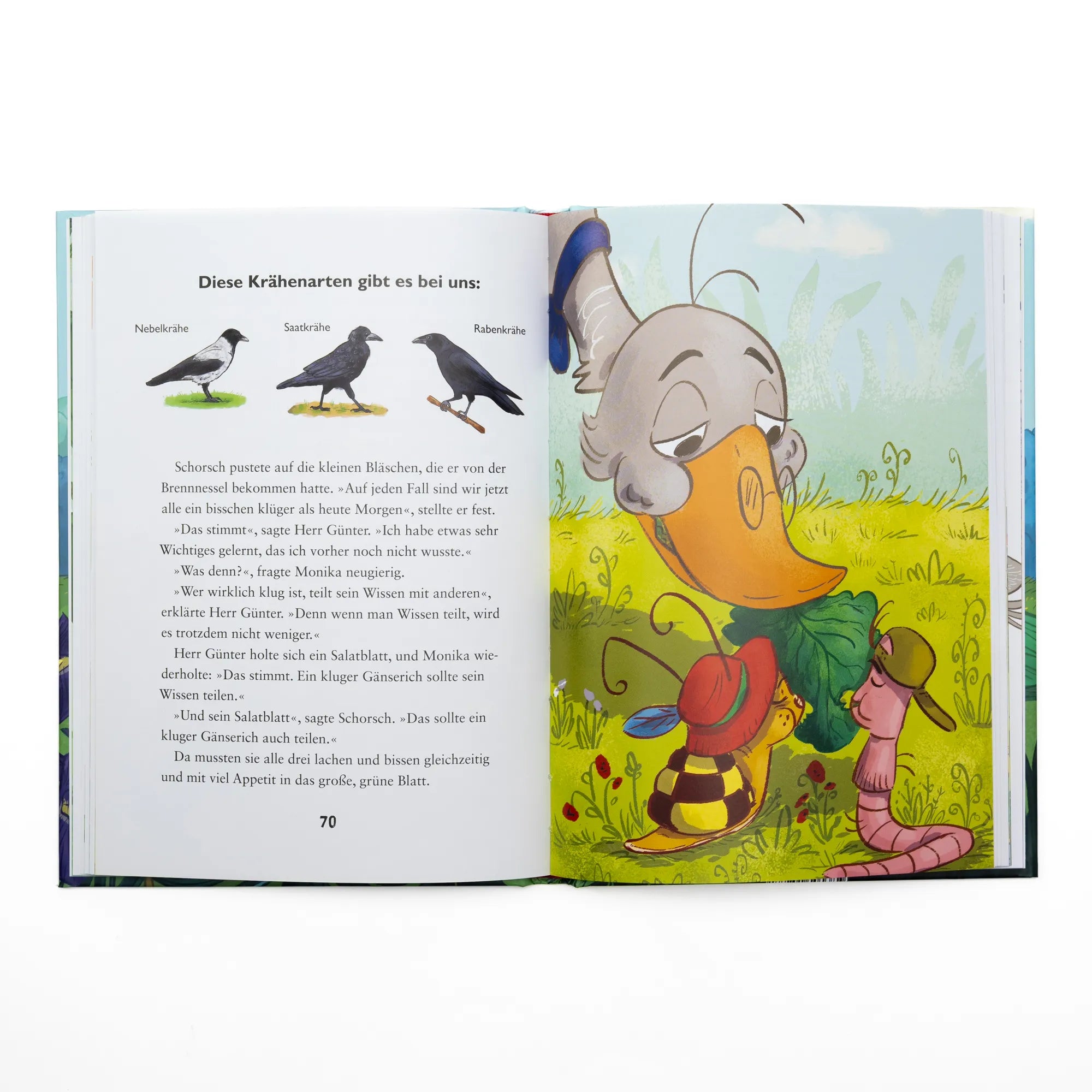 Detailansicht: Die kleine Schnecke Monika Häuschen 6: Wer knackt den Rekord? (Hardcover)