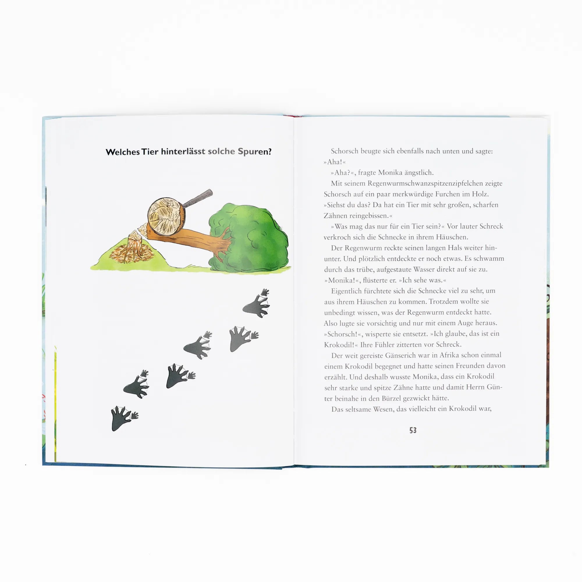 Produktansicht: Die kleine Schnecke Monika Häuschen: Warum bauen Biber Burgen? (Gebundene Ausgabe)