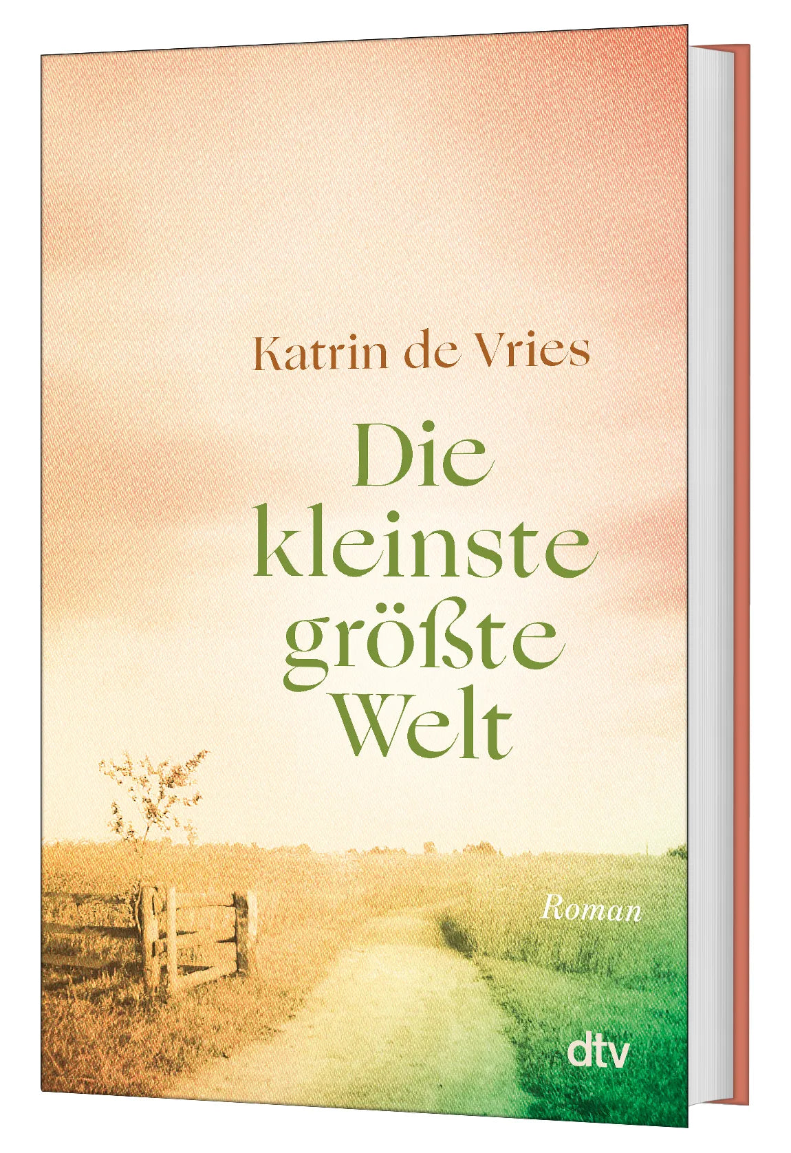 Katrin de Vries - Die kleinste größte Welt