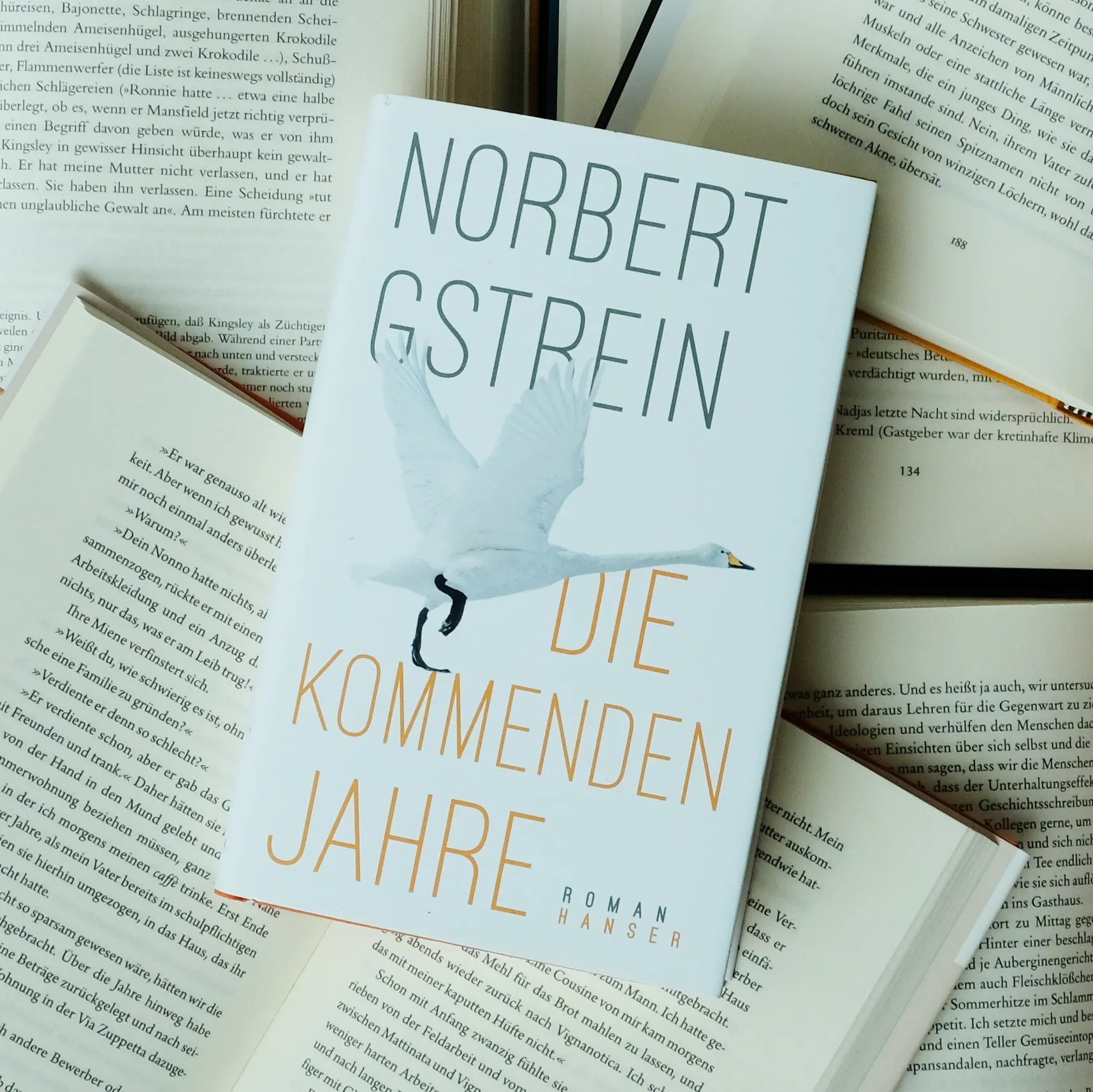 Norbert Gstrein - Die kommenden Jahre