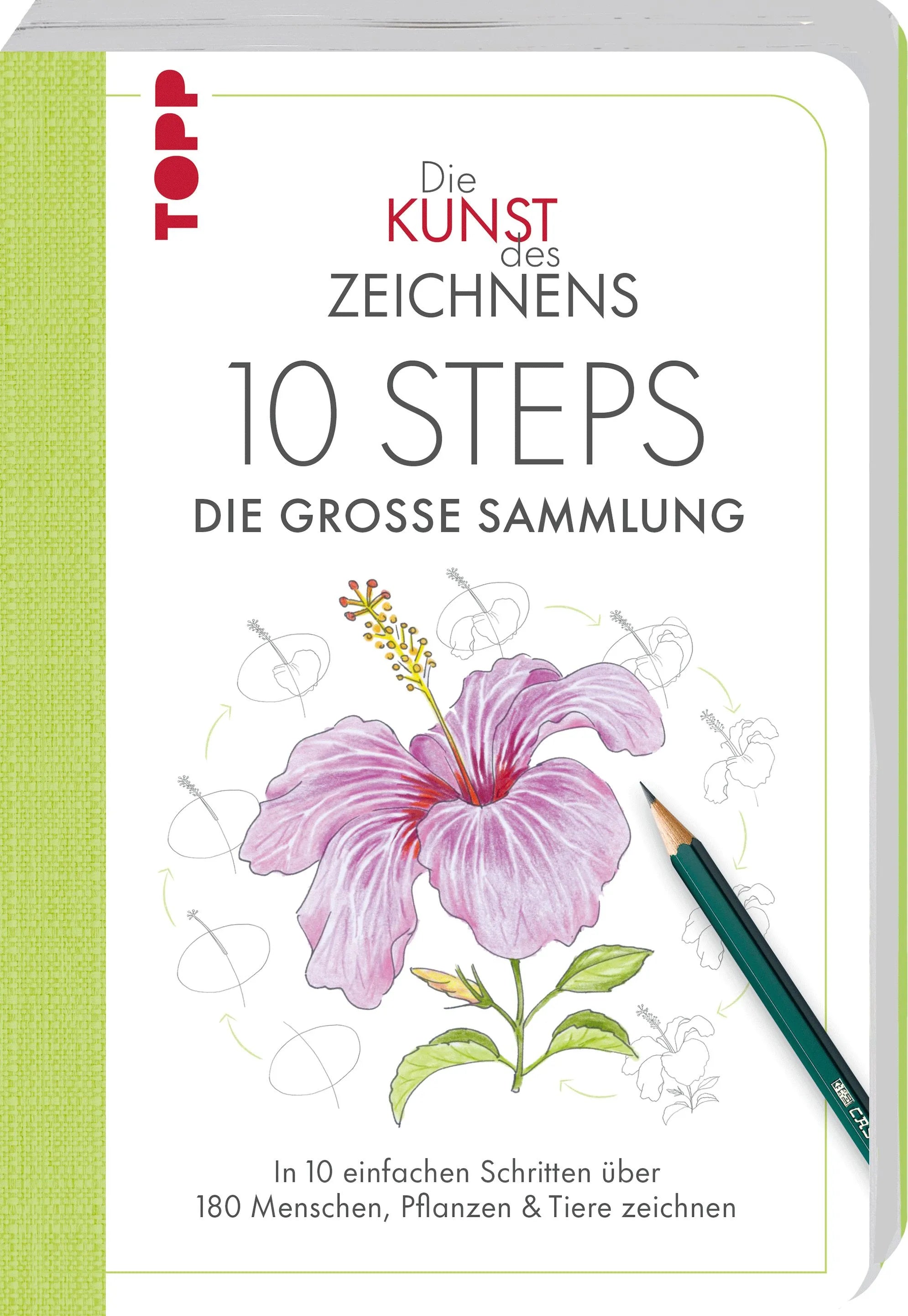 Cover: Die Kunst des Zeichnens 10 Steps - Die große Sammlung (Taschenbuch) von Mary Woodin