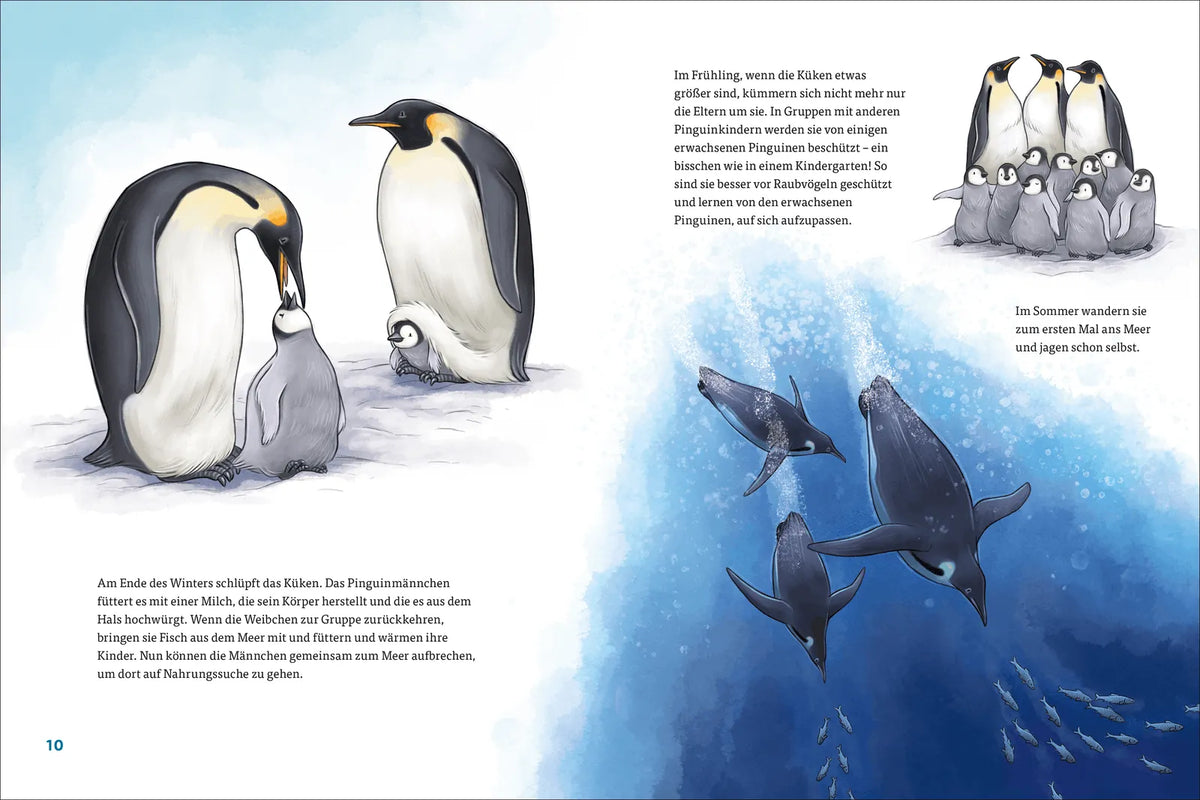 Detailansicht: Die kunterbunte Welt der Tierfamilien (Hardcover)