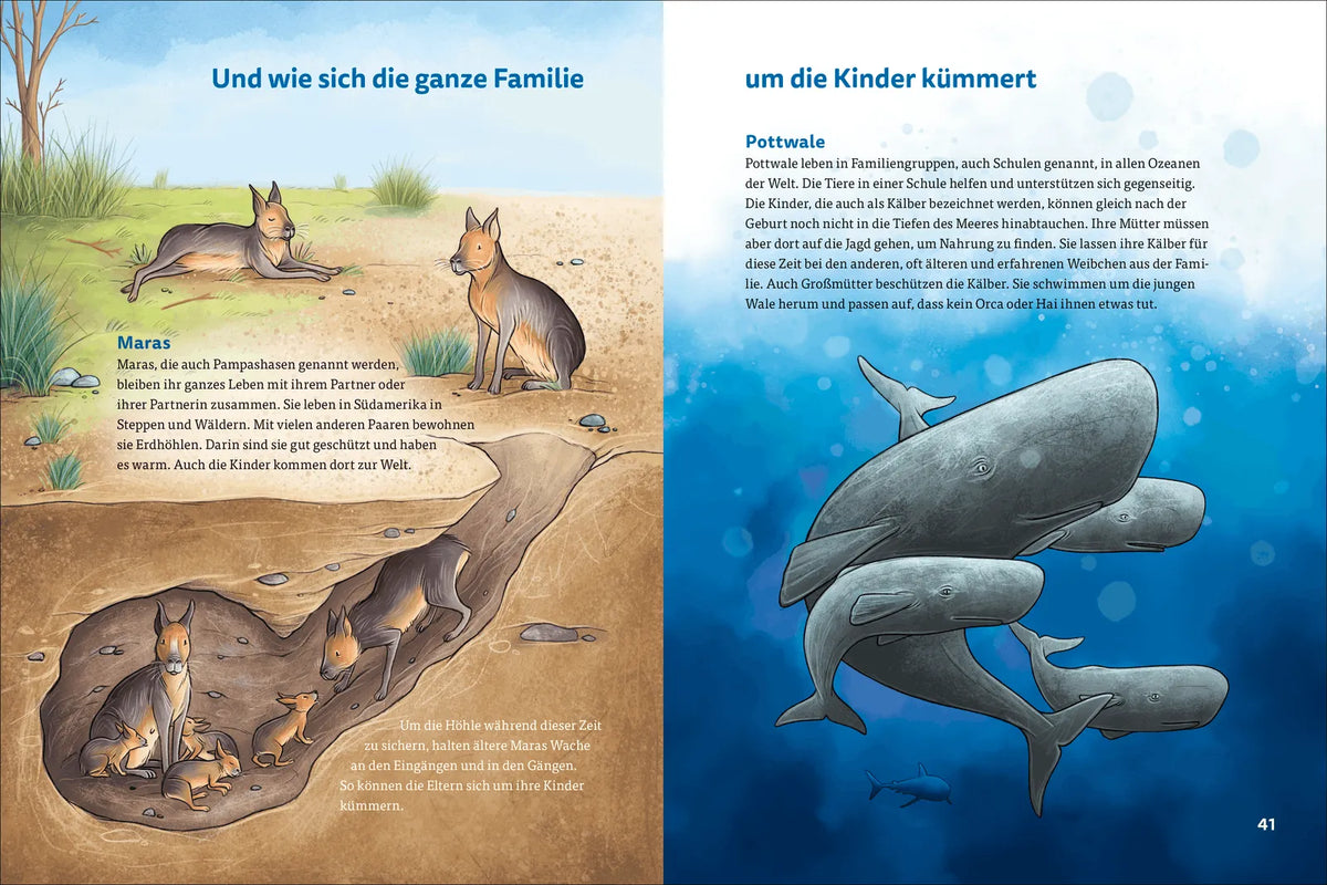 Detailansicht: Die kunterbunte Welt der Tierfamilien (Hardcover)