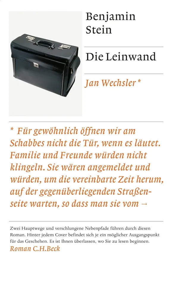 Buchcover von 'Die Leinwand' - Gebundene Ausgabe von Benjamin Stein