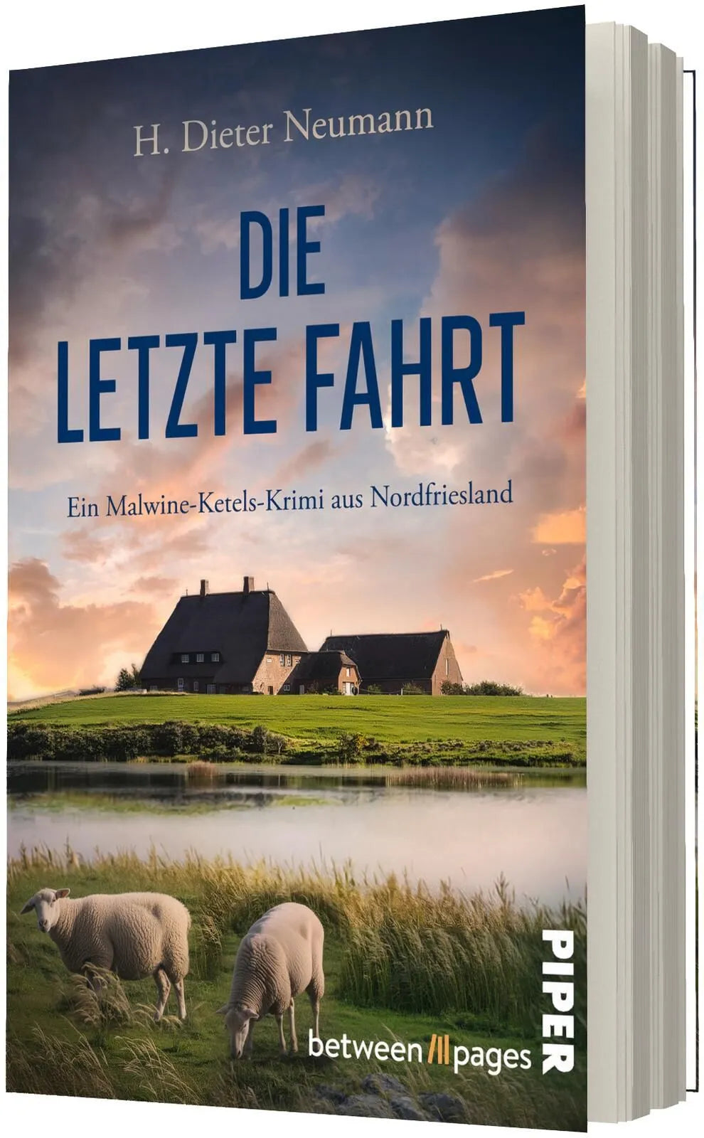 Detailansicht: Die letzte Fahrt (Taschenbuch)
