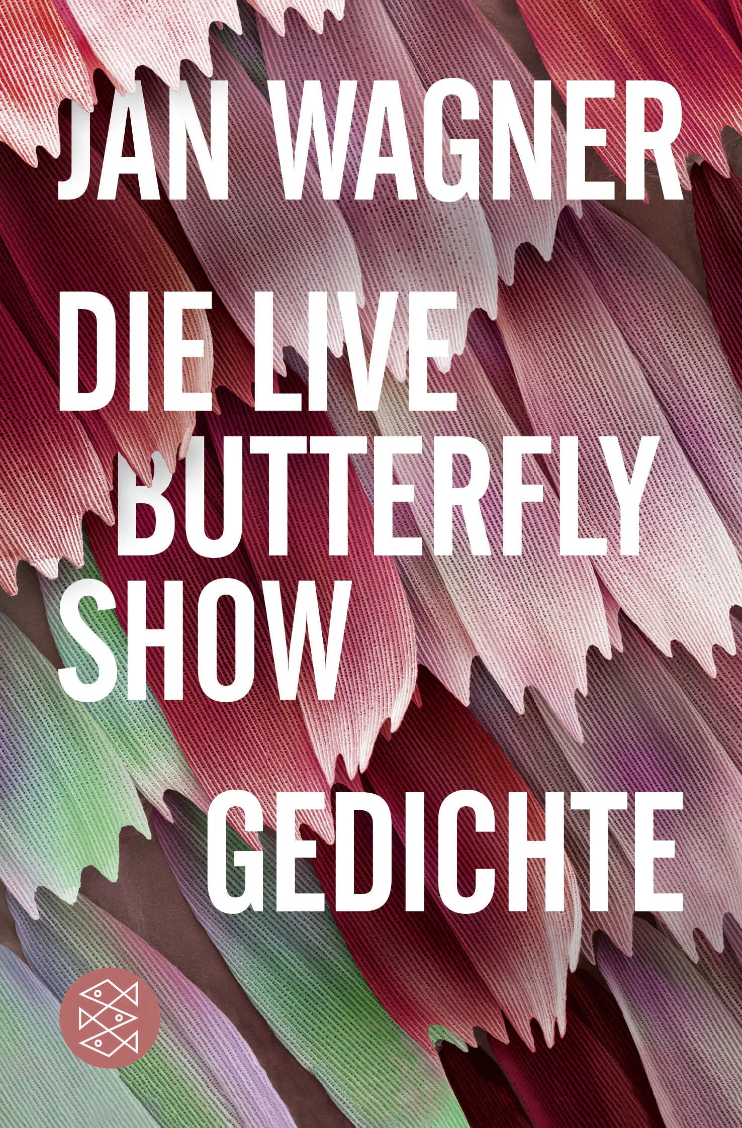 Buchcover von 'Die Live Butterfly Show' - Taschenbuch von Jan Wagner