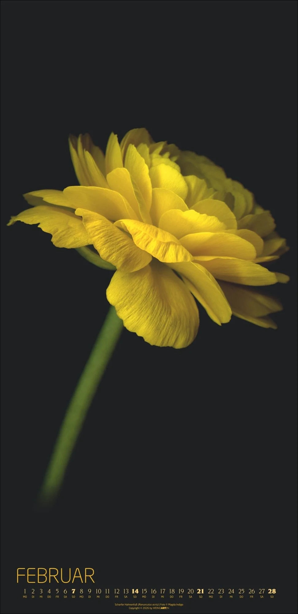 Die Magie der Blumen Kalender 2027 – Ansicht