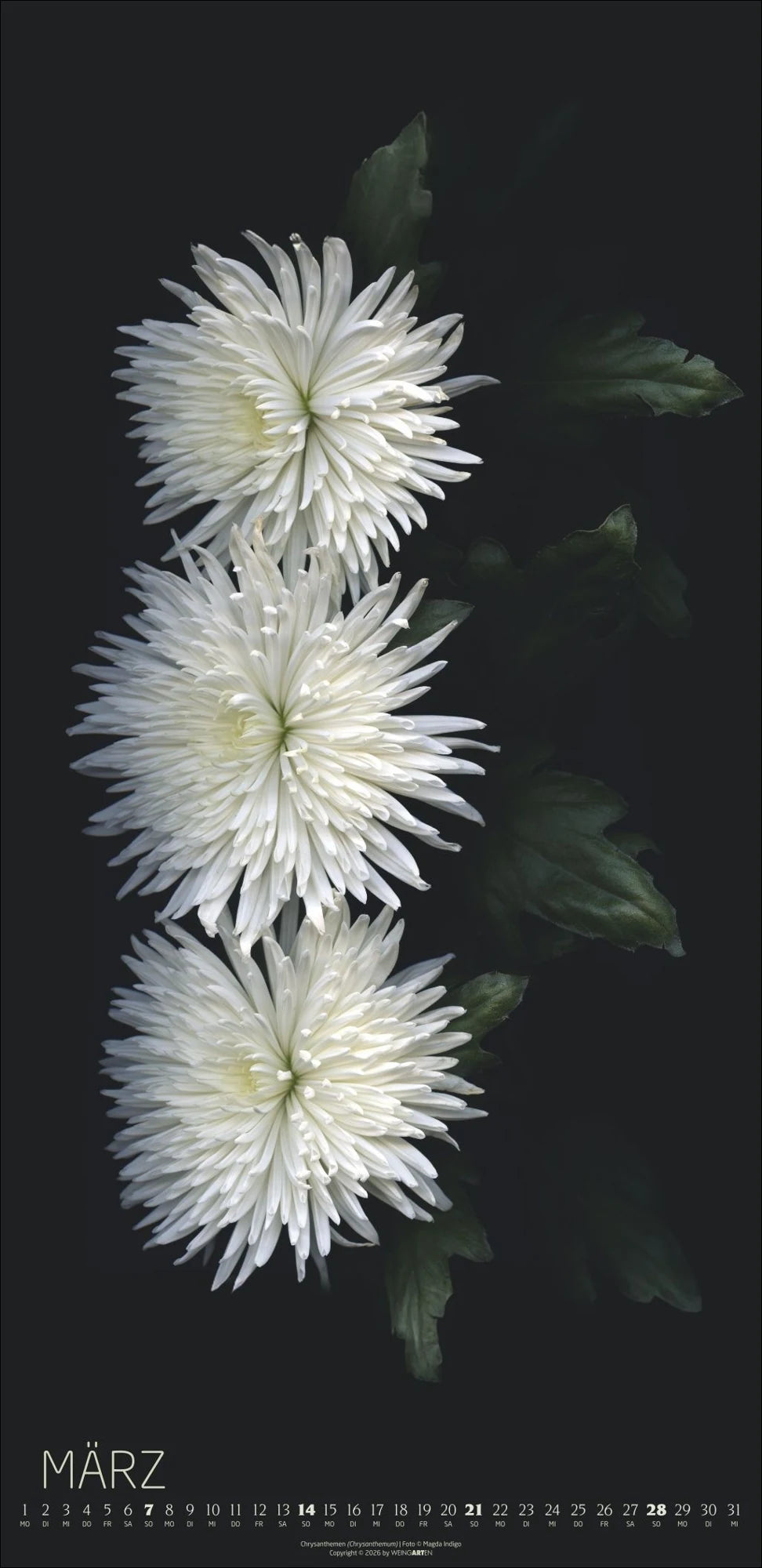 Die Magie der Blumen Kalender 2027 – Ansicht